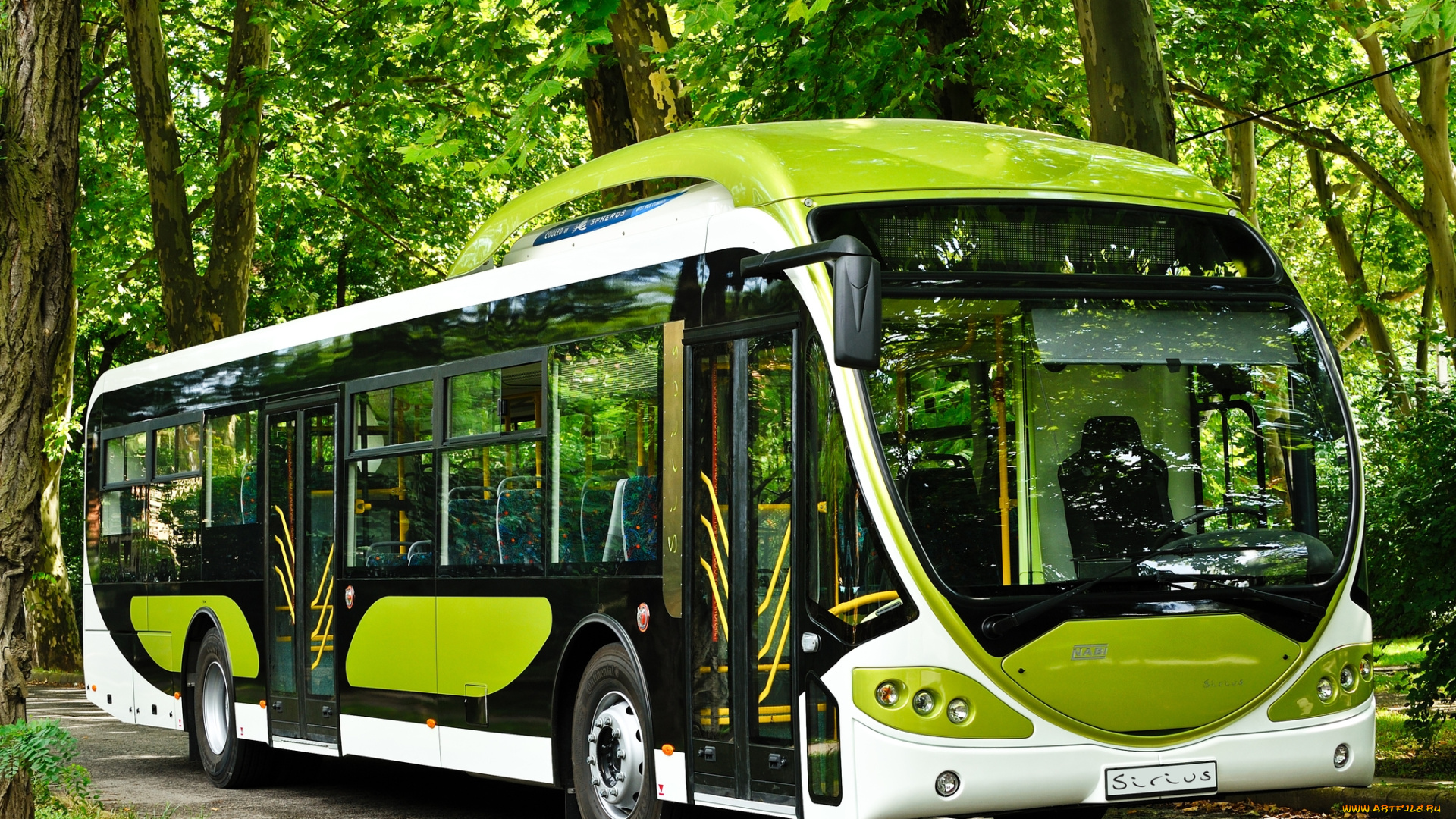 автомобили, автобусы, автобус, деревья