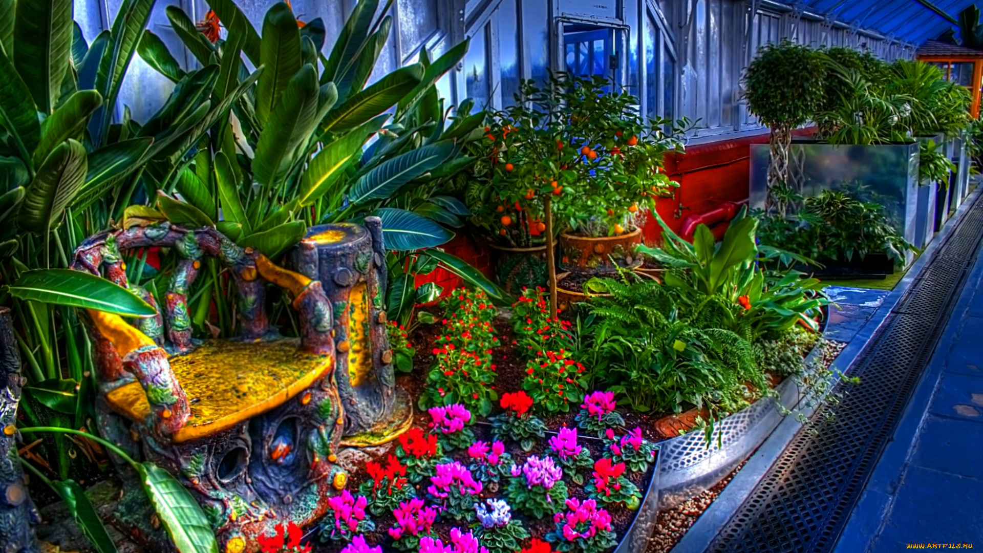 цветы, агератум, деревья, растения, оранжерея