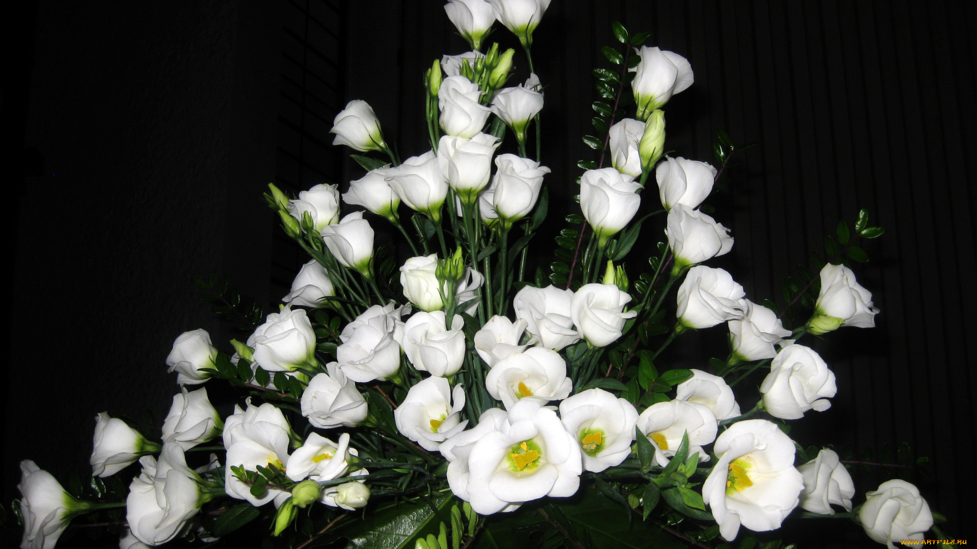 цветы, эустома, букет, белые