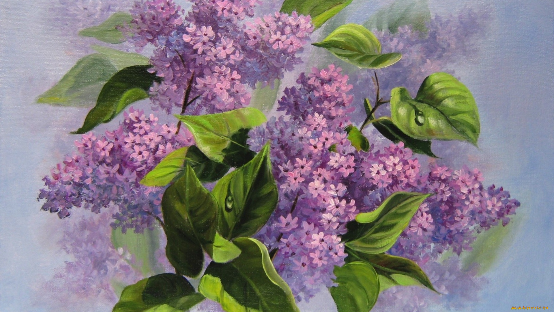 рисованные, цветы, живопись, сирень, запах, тумана