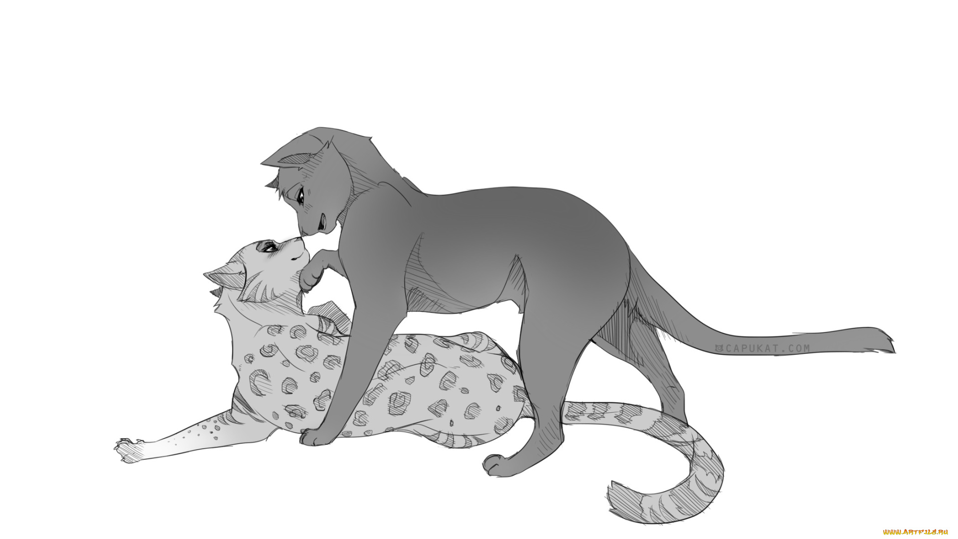 рисованные, животные, , сказочные, , мифические, пума