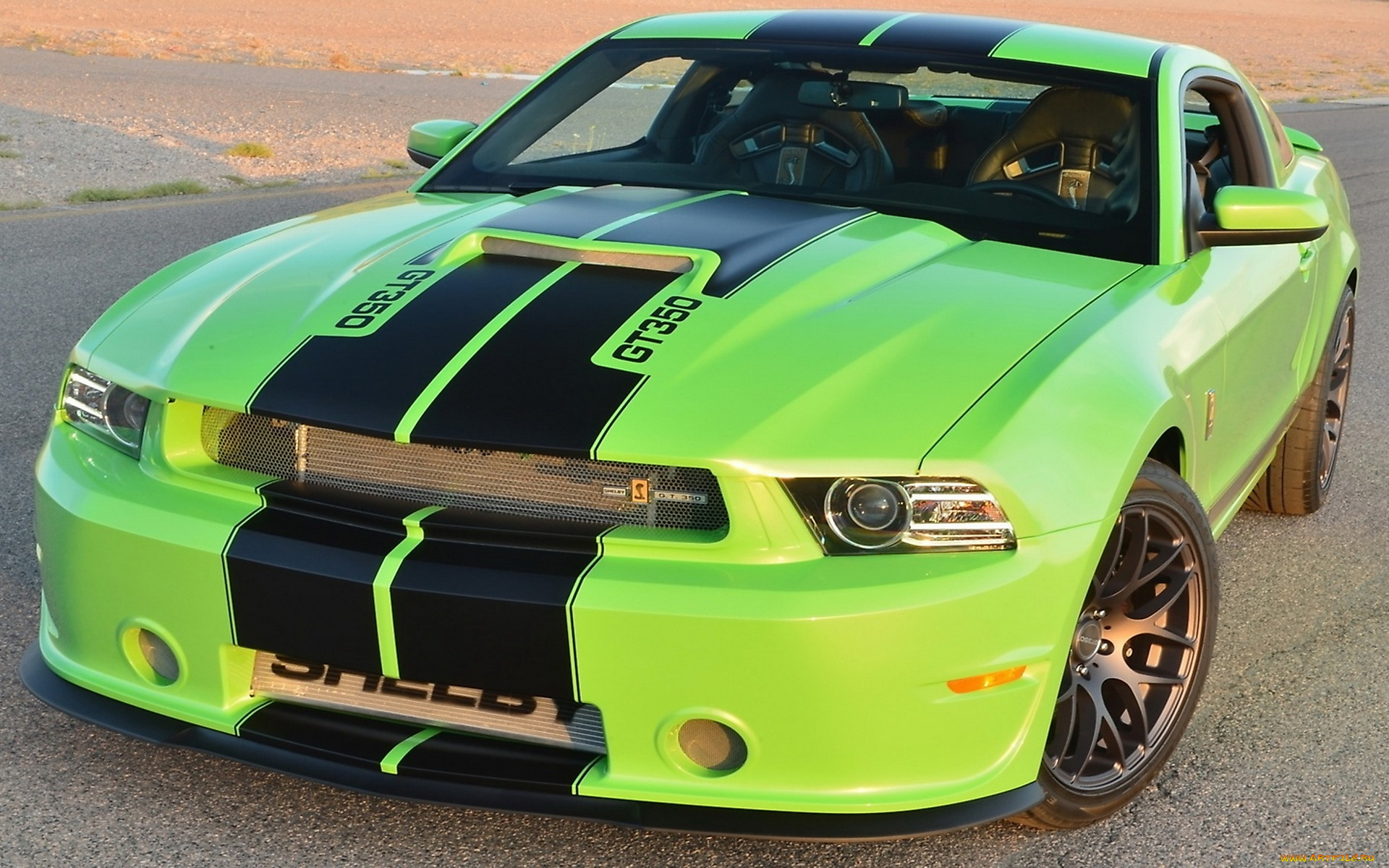 автомобили, mustang, ford, gt350, shelby