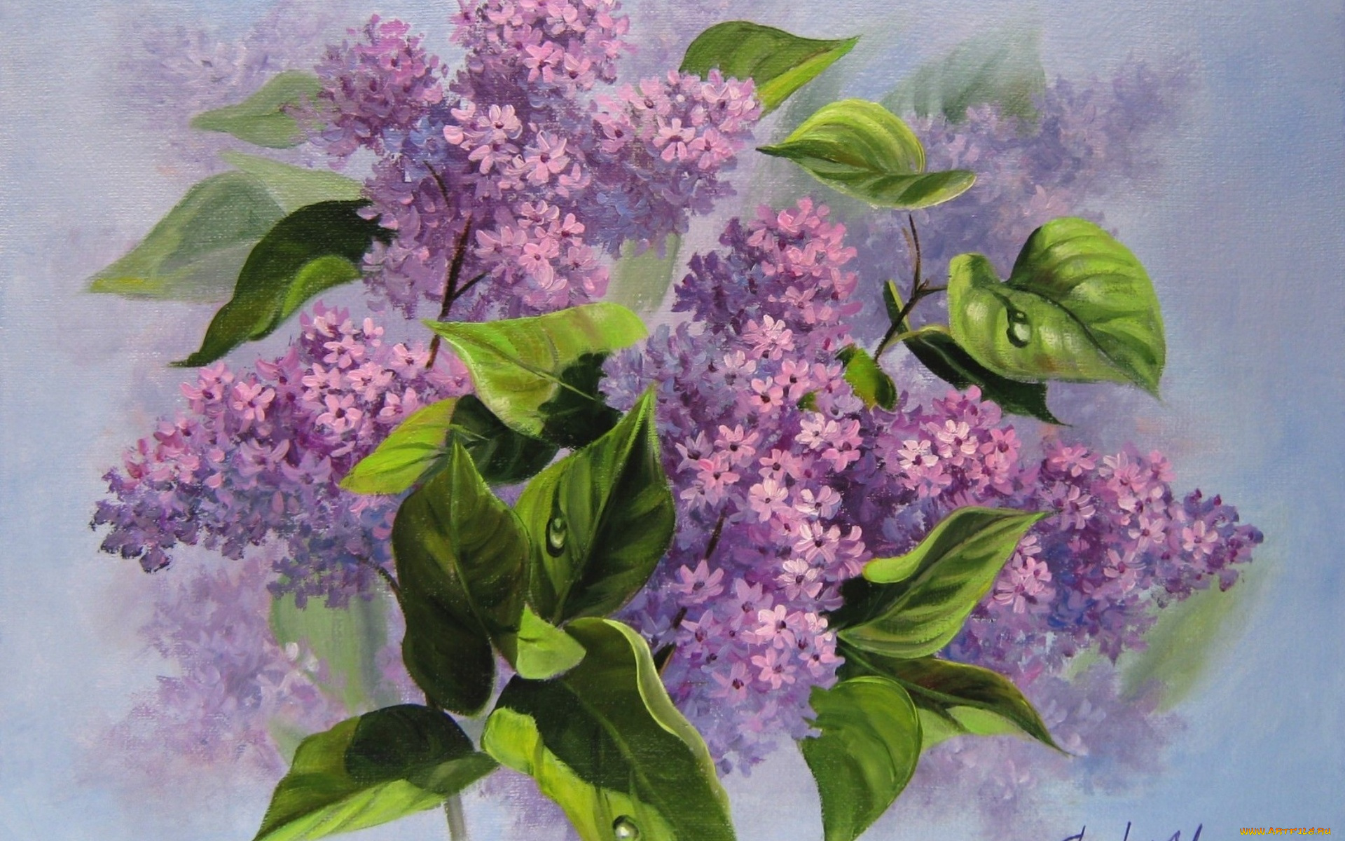 рисованные, цветы, живопись, сирень, запах, тумана