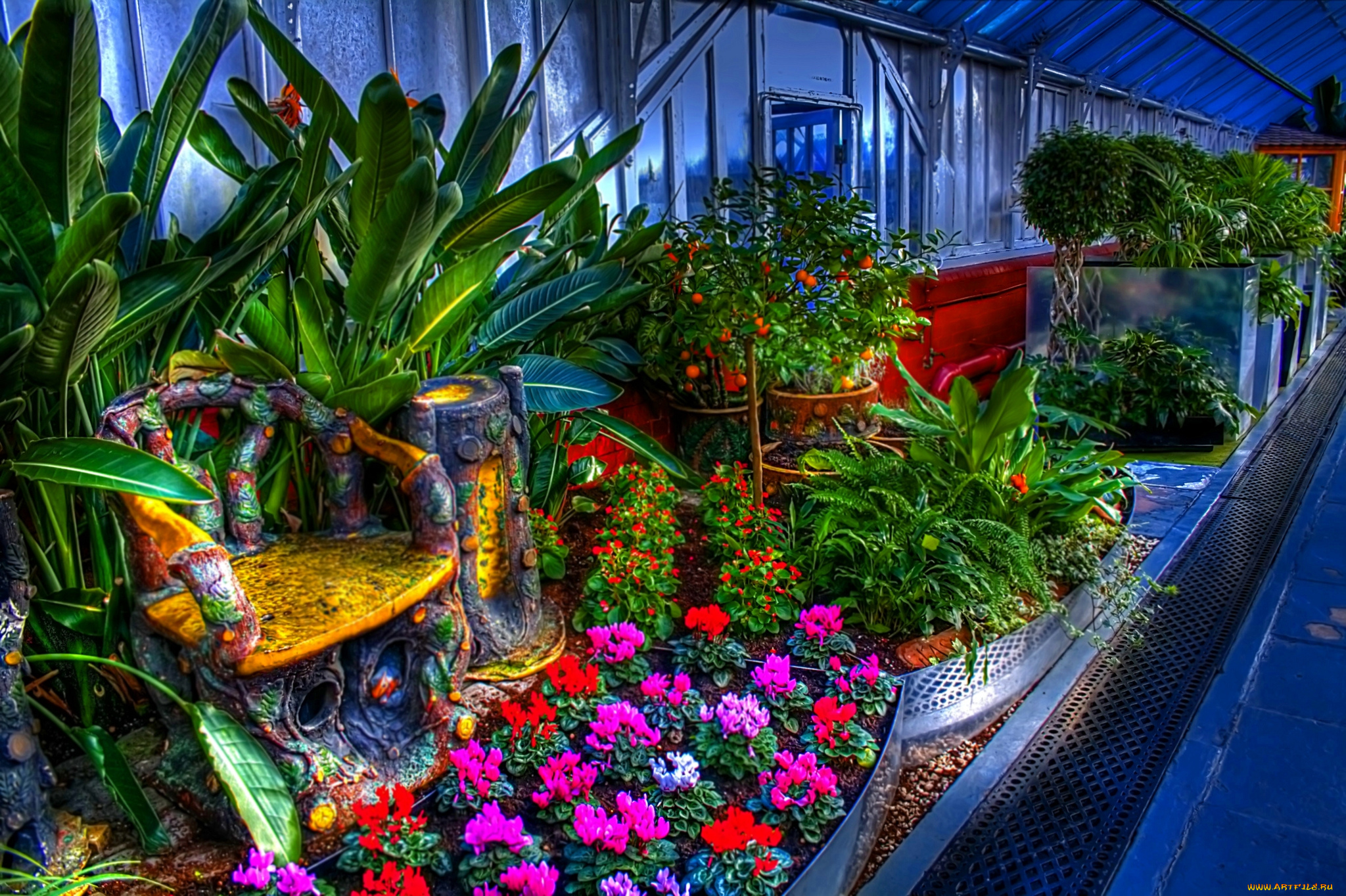 цветы, агератум, деревья, растения, оранжерея