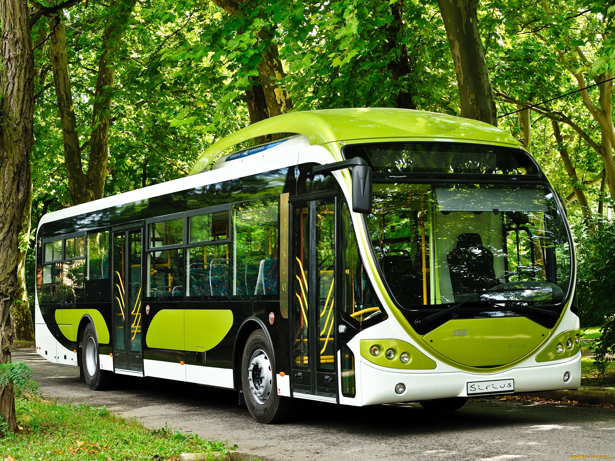 автомобили, автобусы, автобус, деревья