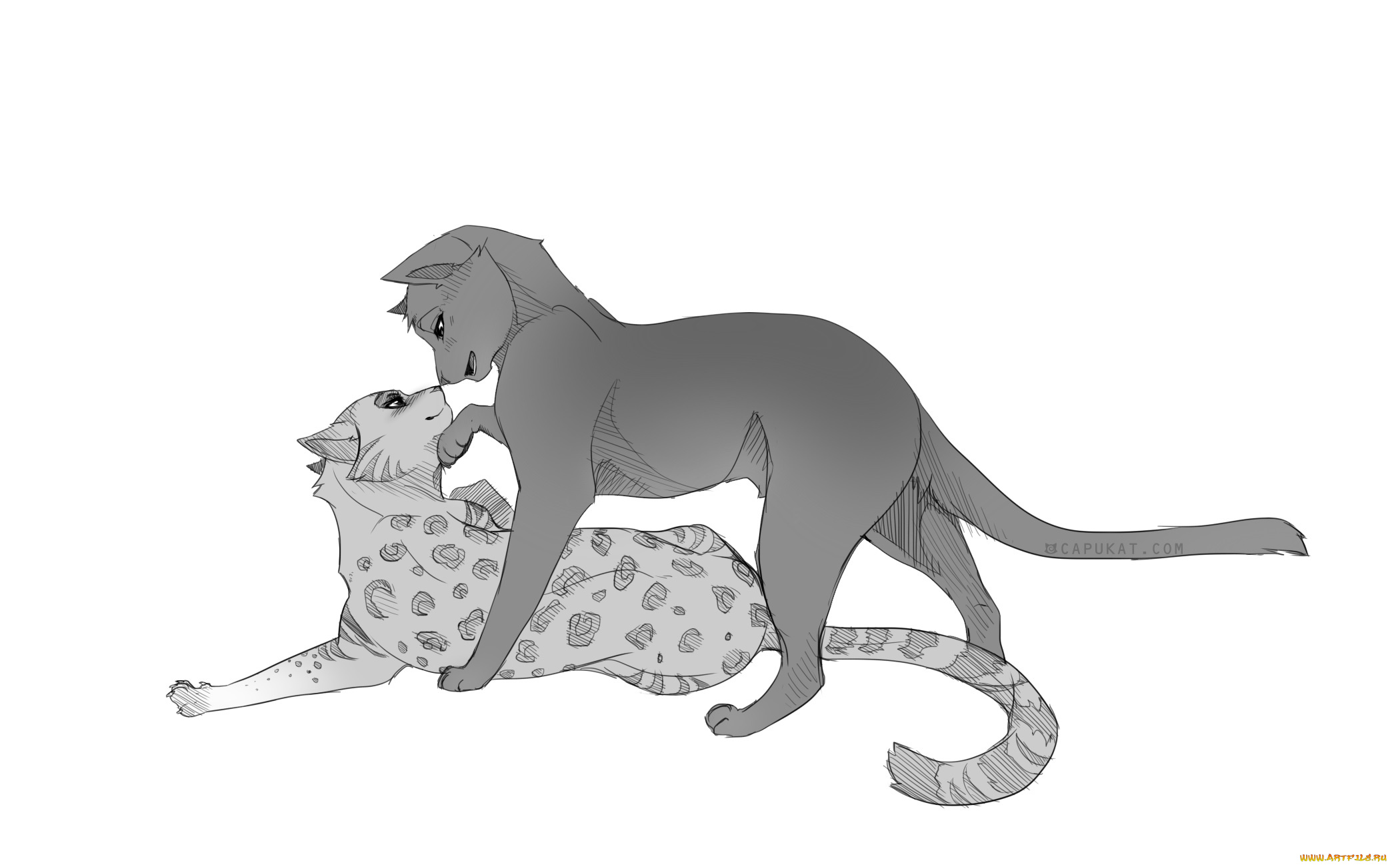 рисованные, животные, , сказочные, , мифические, пума