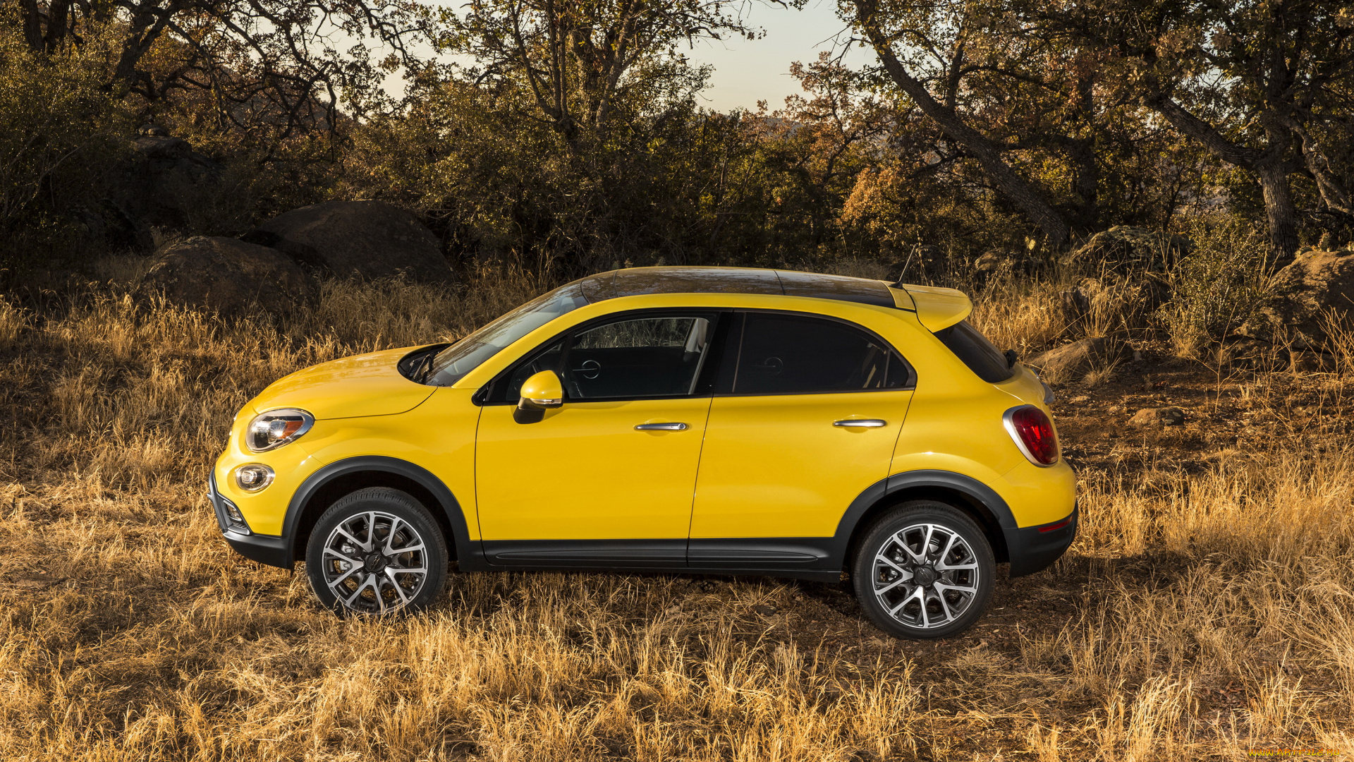 2014, fiat, 500x, trekking, plus, автомобили, fiat, тюнинг, желтый, металлик