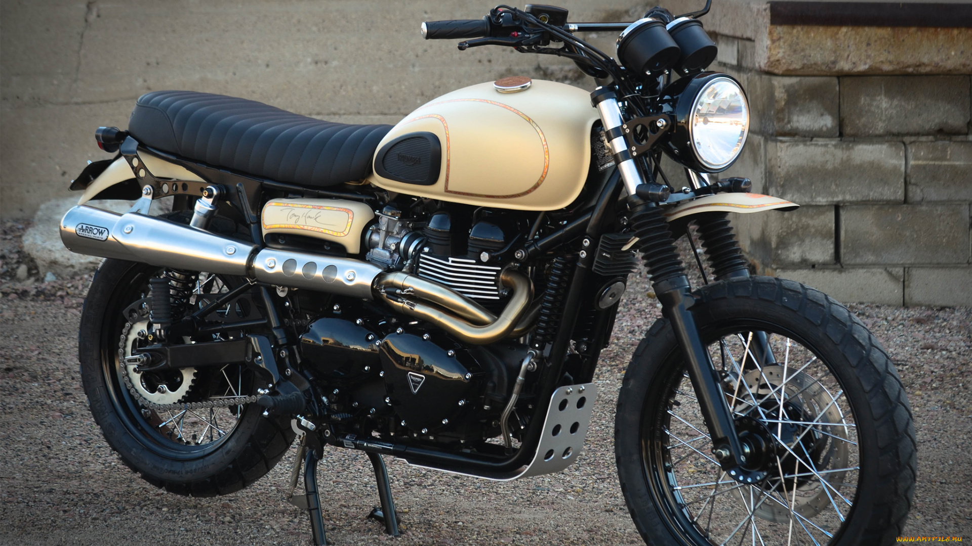 мотоциклы, triumph