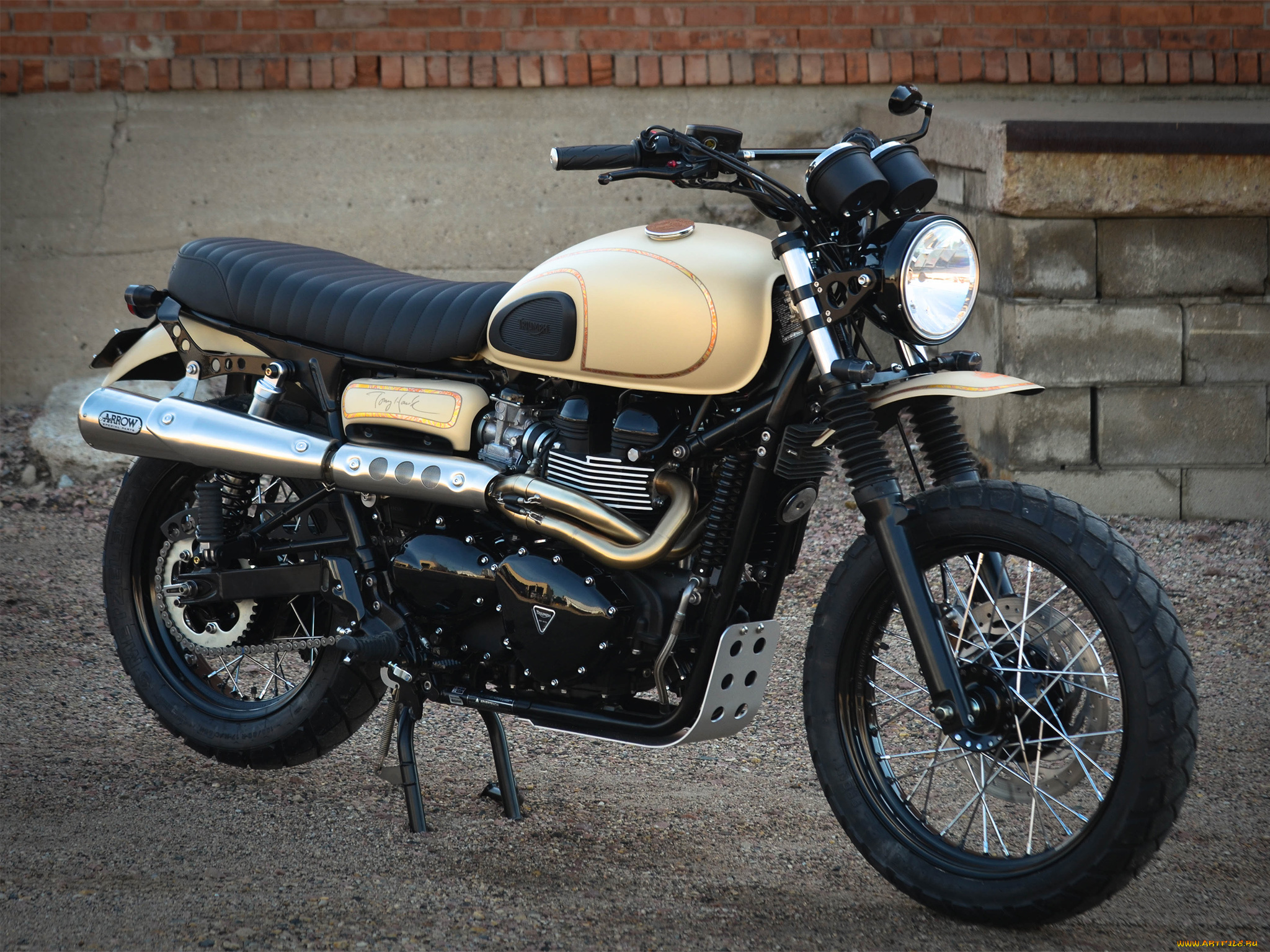 мотоциклы, triumph