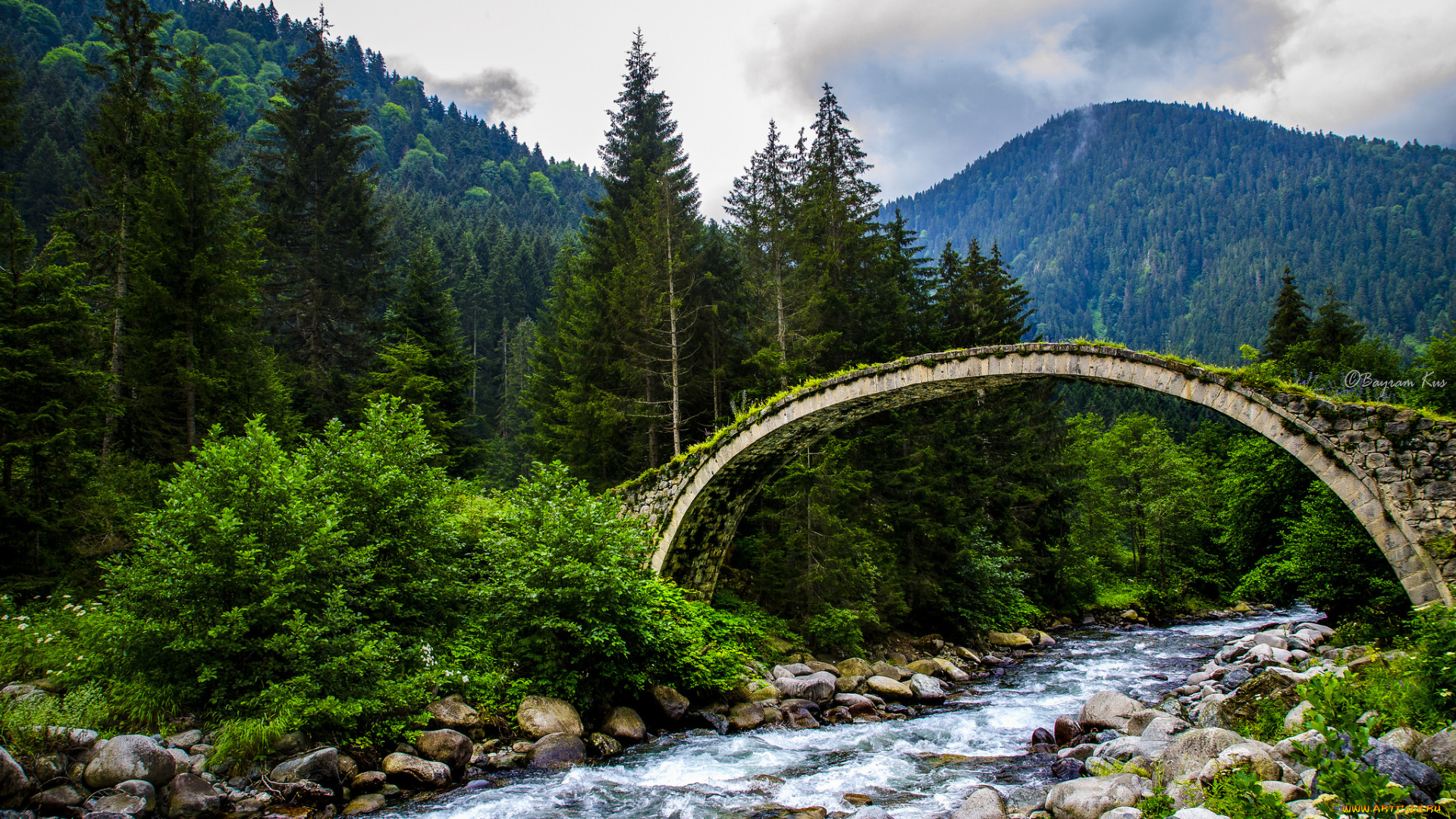 природа, реки, озера, горы, лес, река