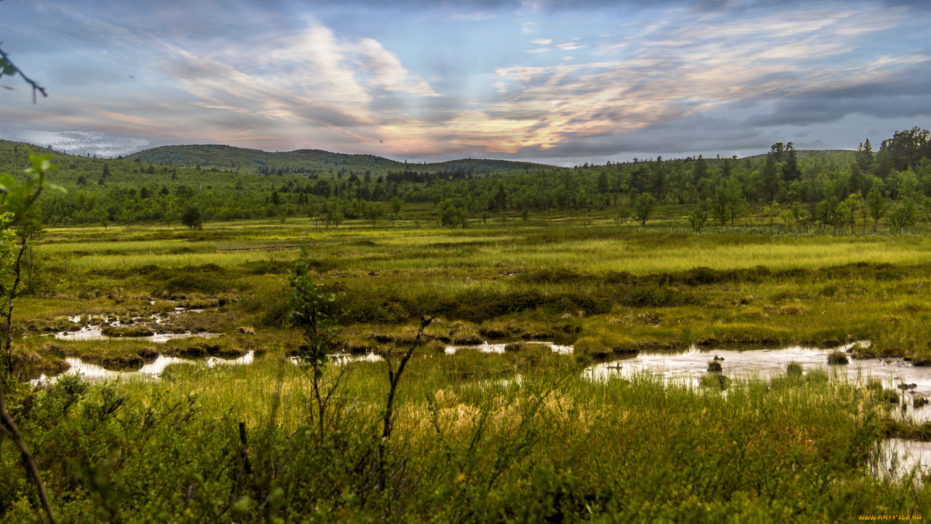 природа, реки, озера, равнина, речка