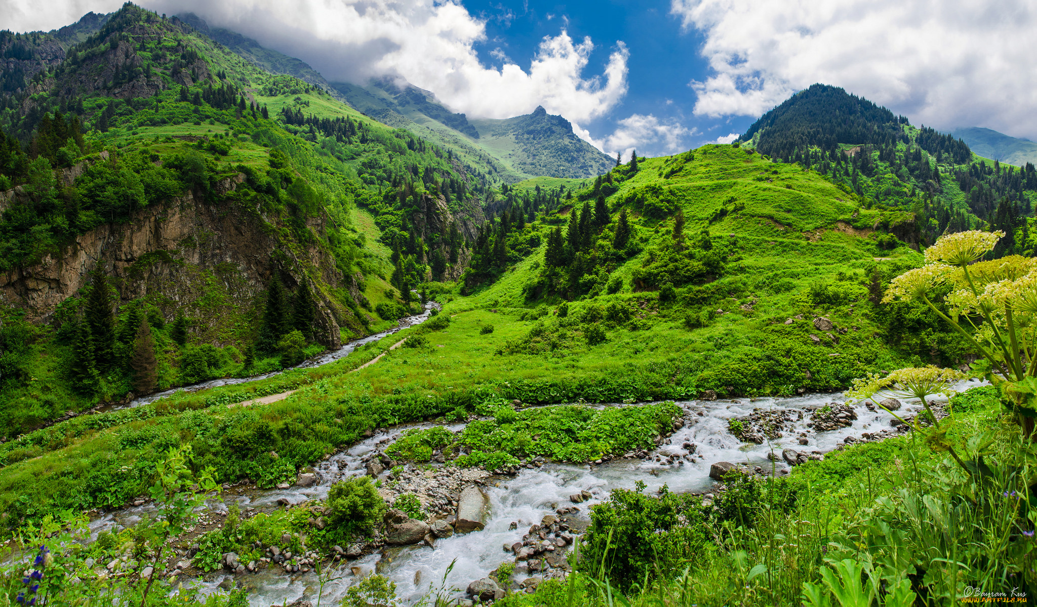 природа, реки, озера, холмы, ручей