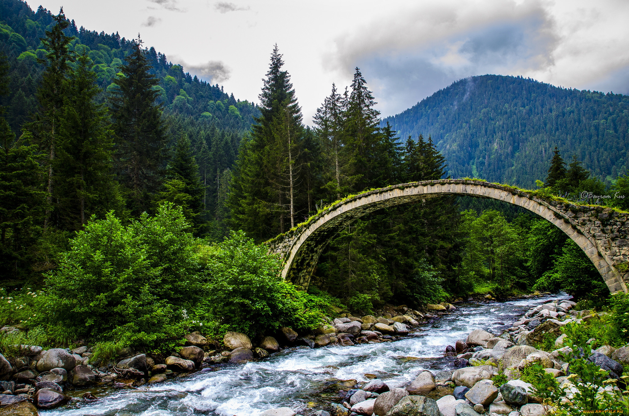 природа, реки, озера, горы, лес, река