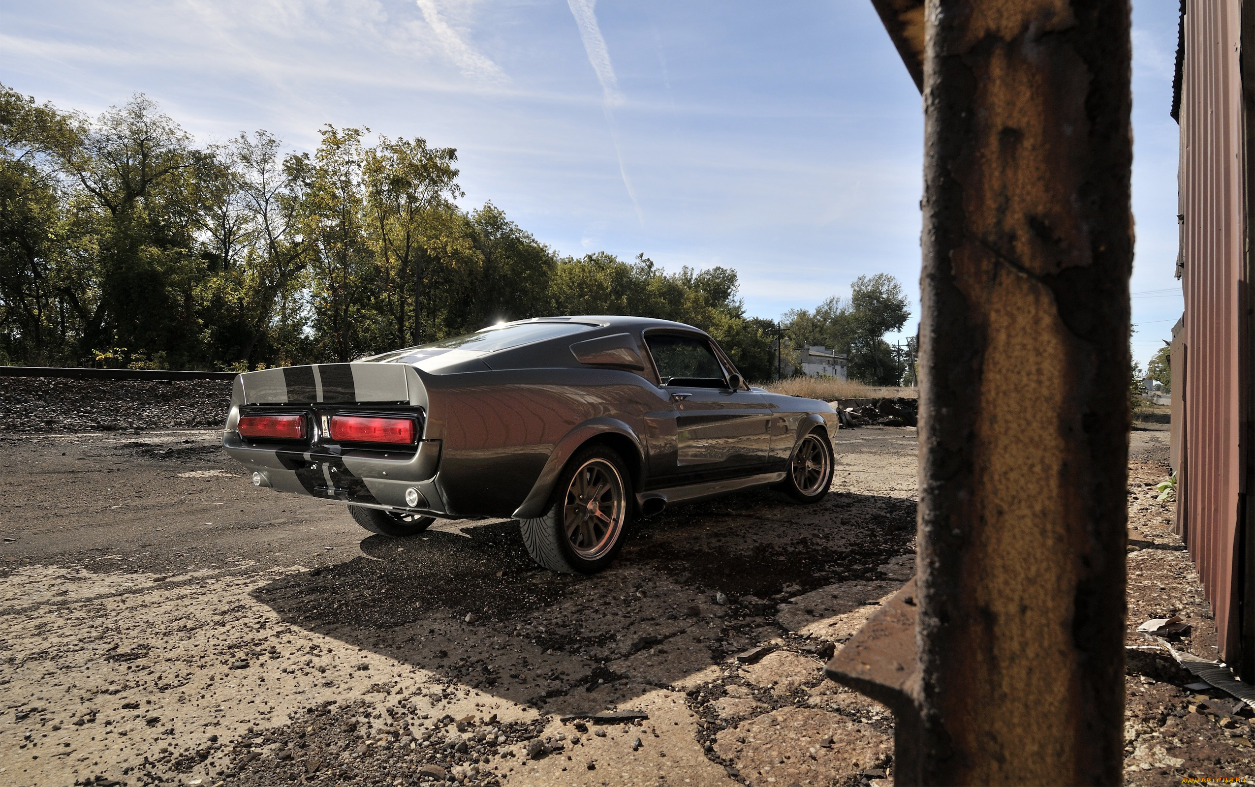 автомобили, mustang