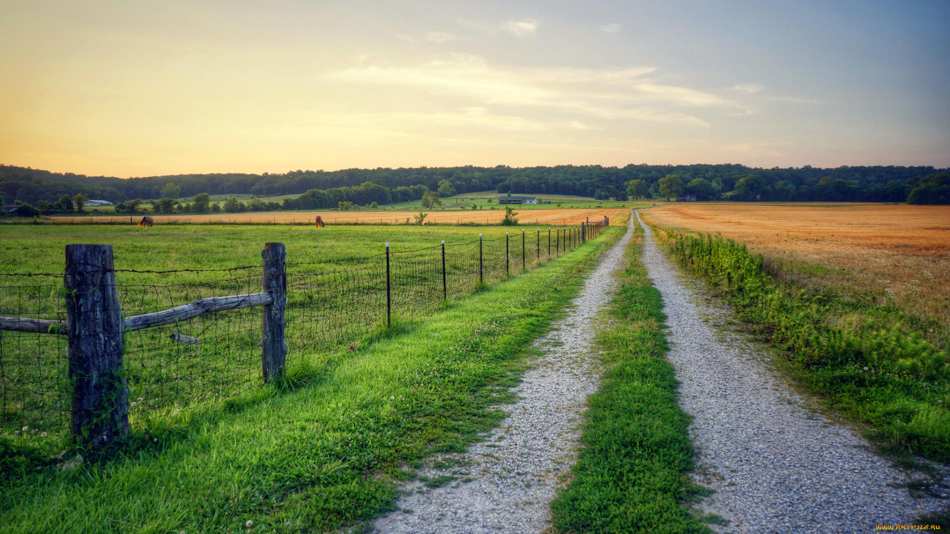 природа, дороги, закат, поле, дорога, пейзаж