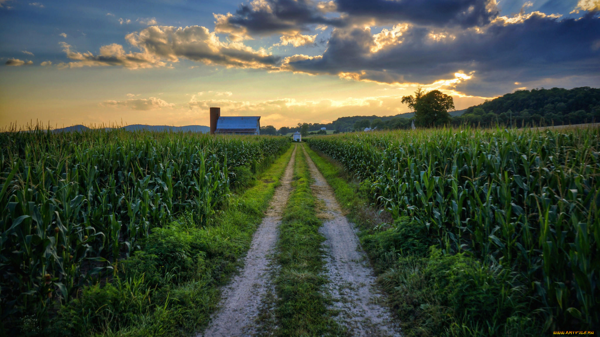 природа, дороги, закат, поле, дорога, пейзаж