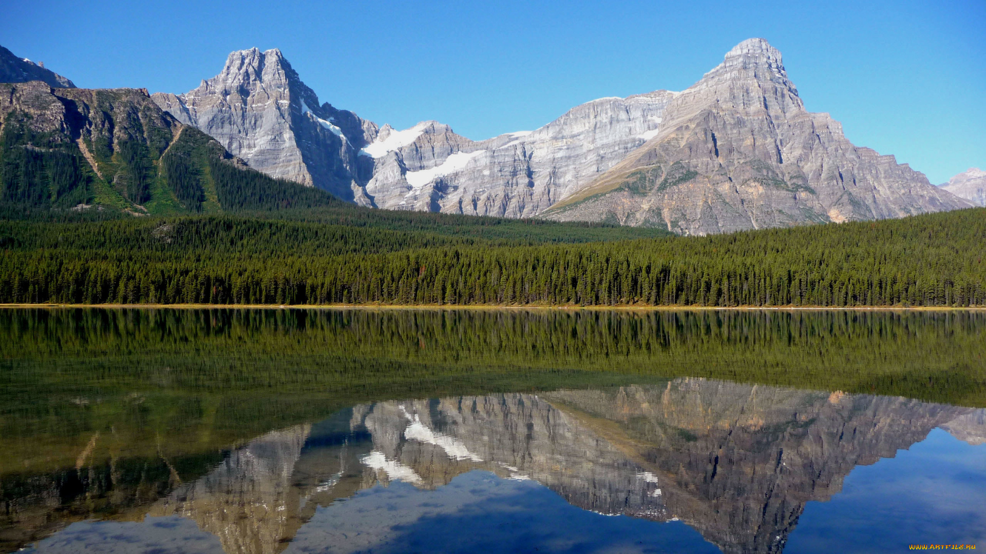 природа, побережье, река, горы, лес