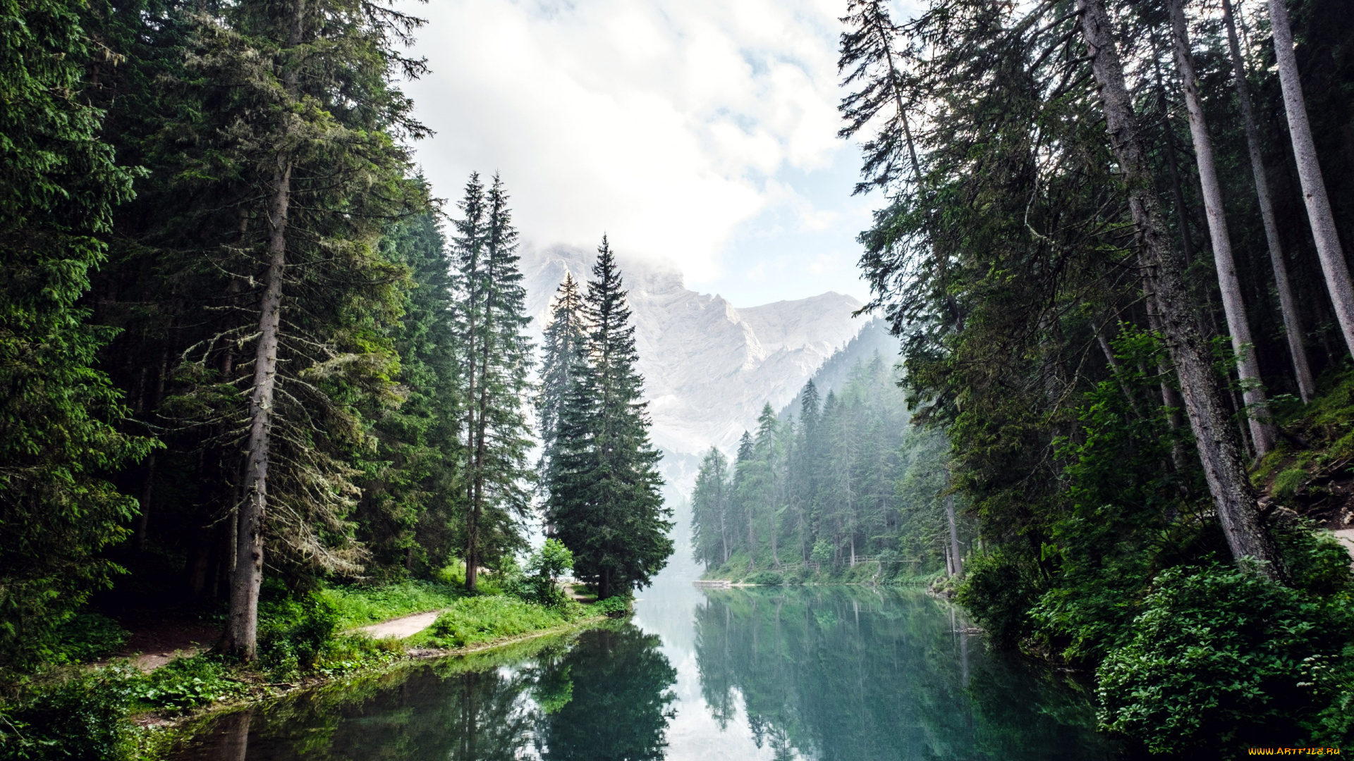 природа, реки, озера, горы, лес, елки, река, туман