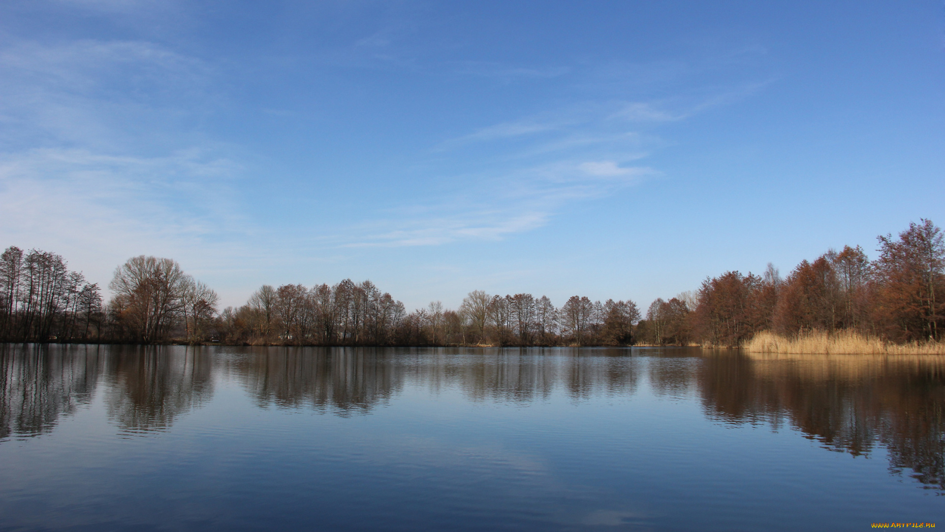 природа, реки, озера, озеро, деревья