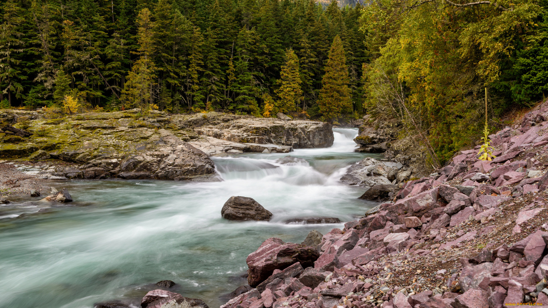 природа, реки, озера, река, лес