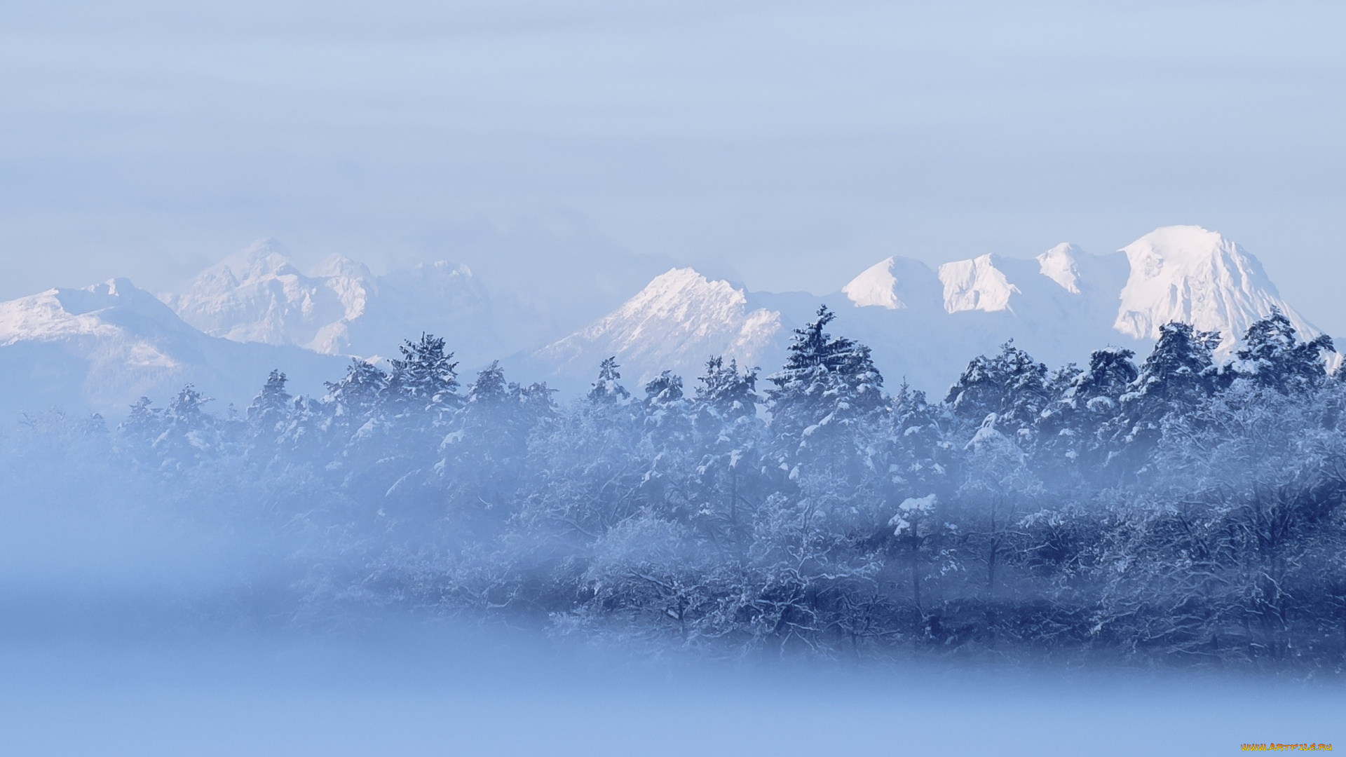 природа, зима, снег, деревья