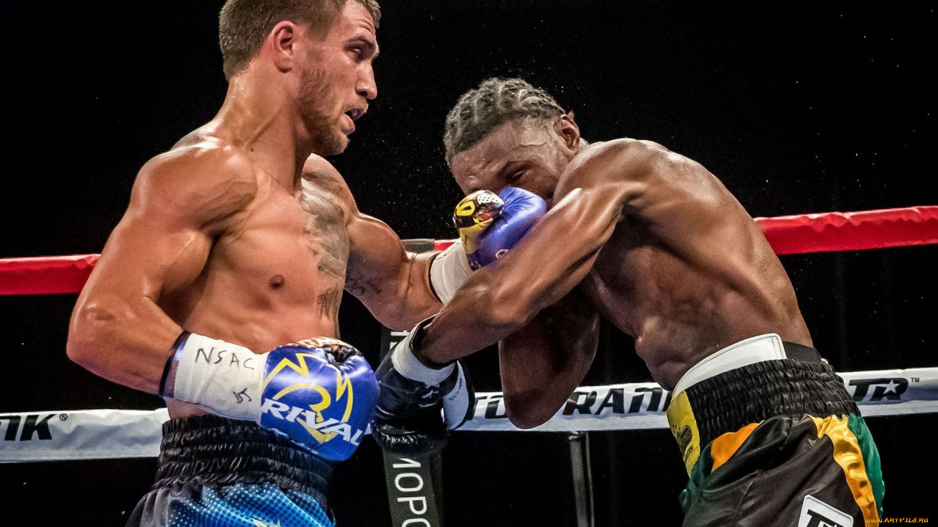 василий, ломаченко, спорт, бокс, чемпион