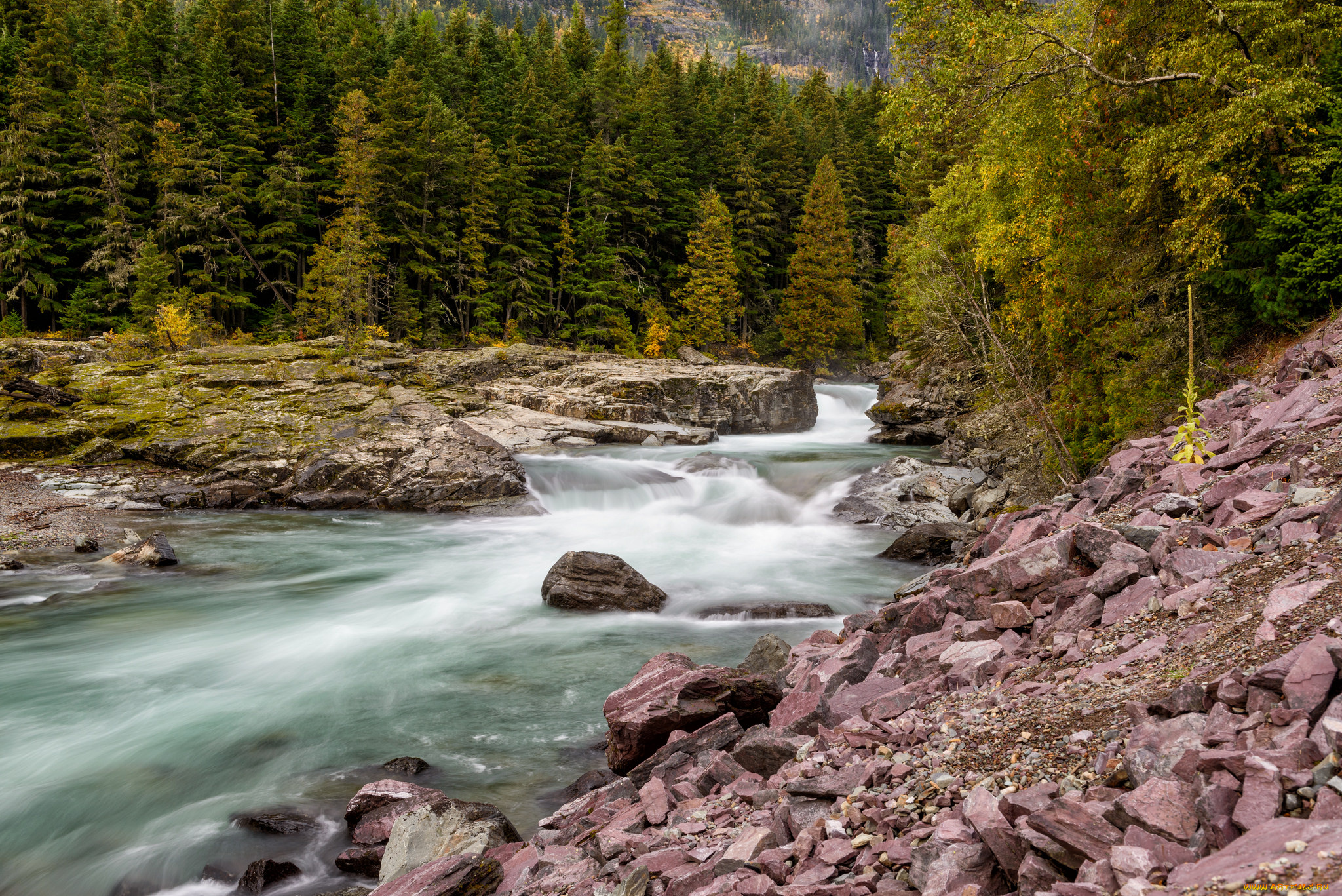 природа, реки, озера, река, лес