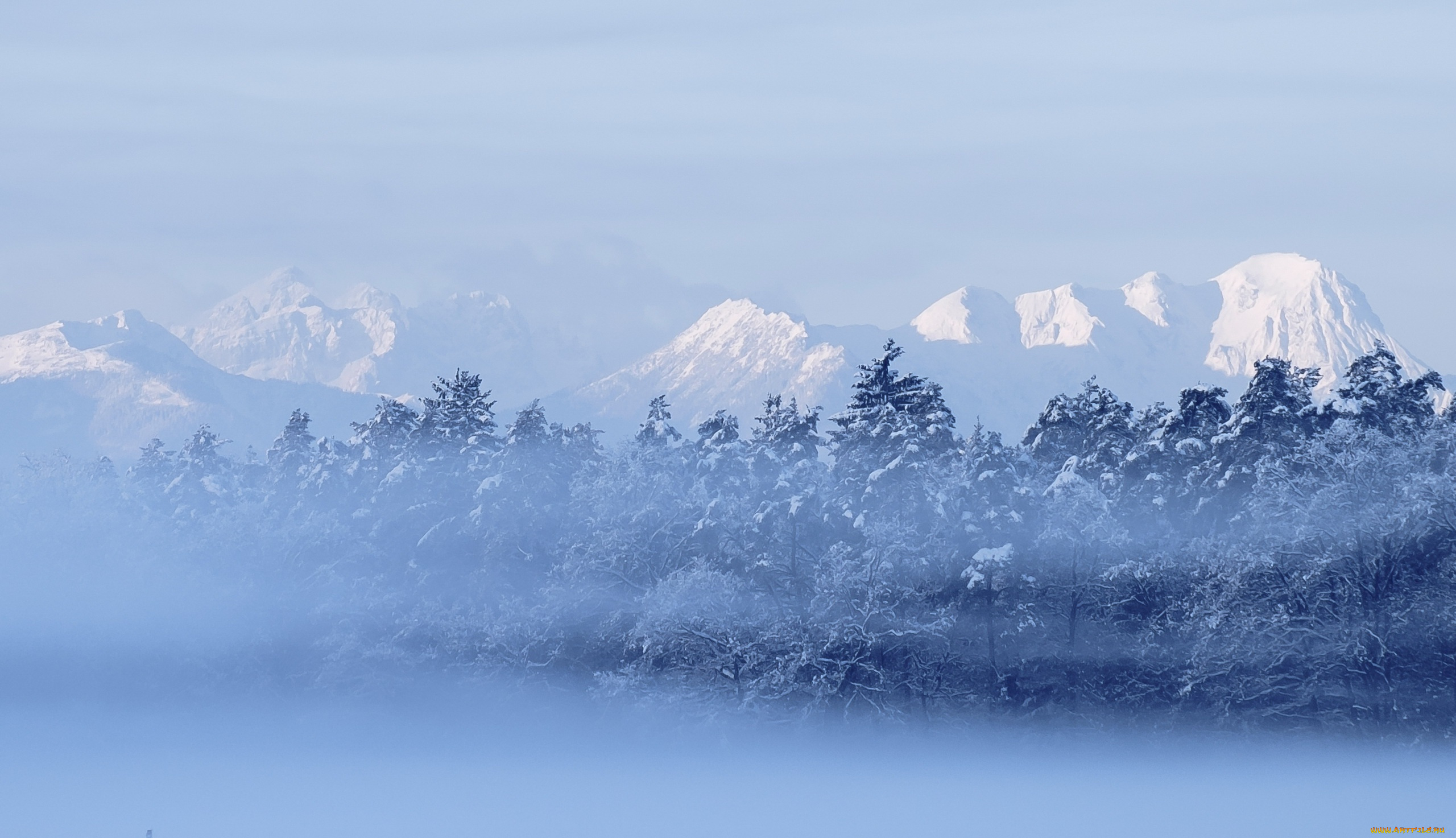 природа, зима, снег, деревья