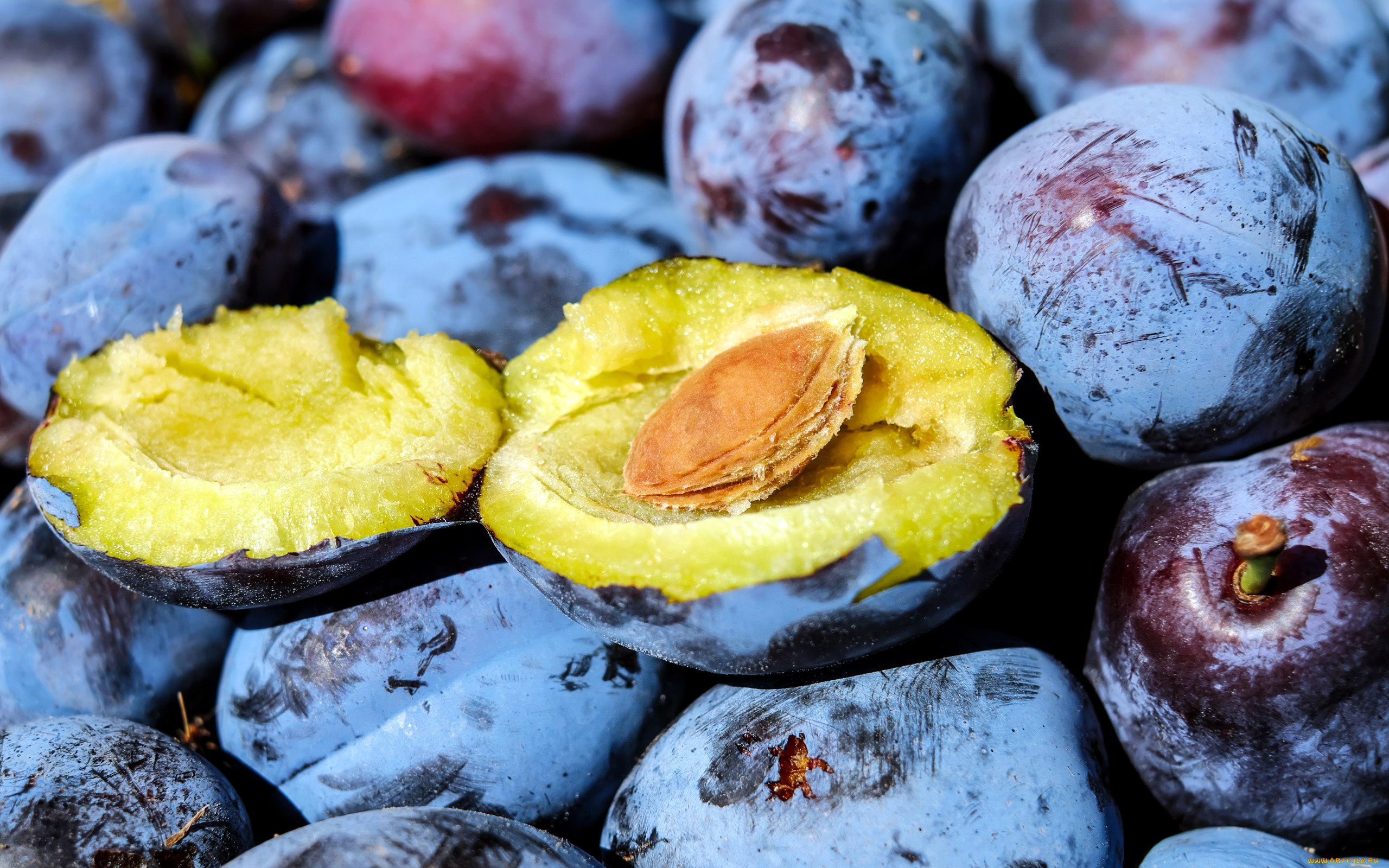 еда, персики, , сливы, , абрикосы, сливы, макро, много