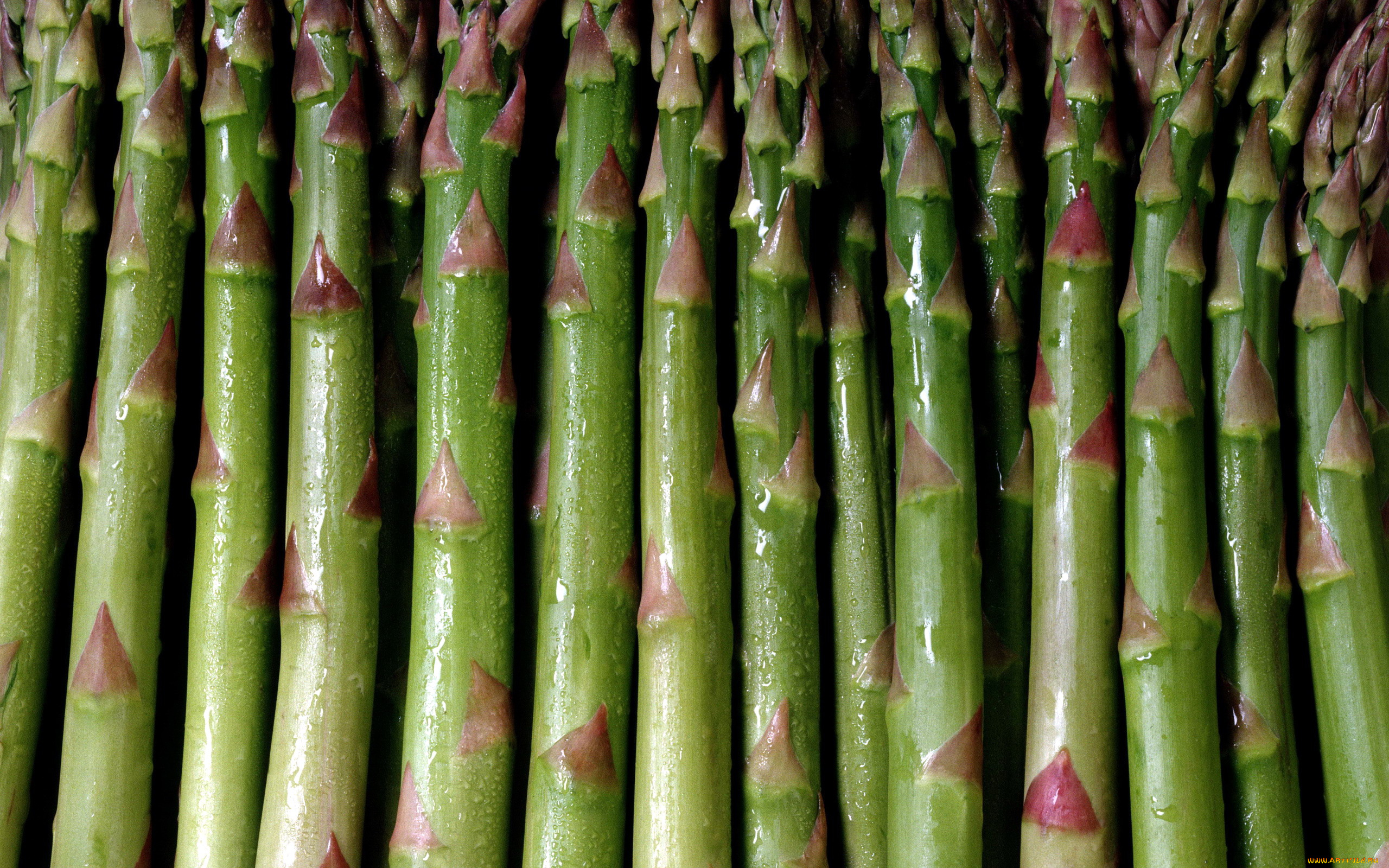 еда, спаржа