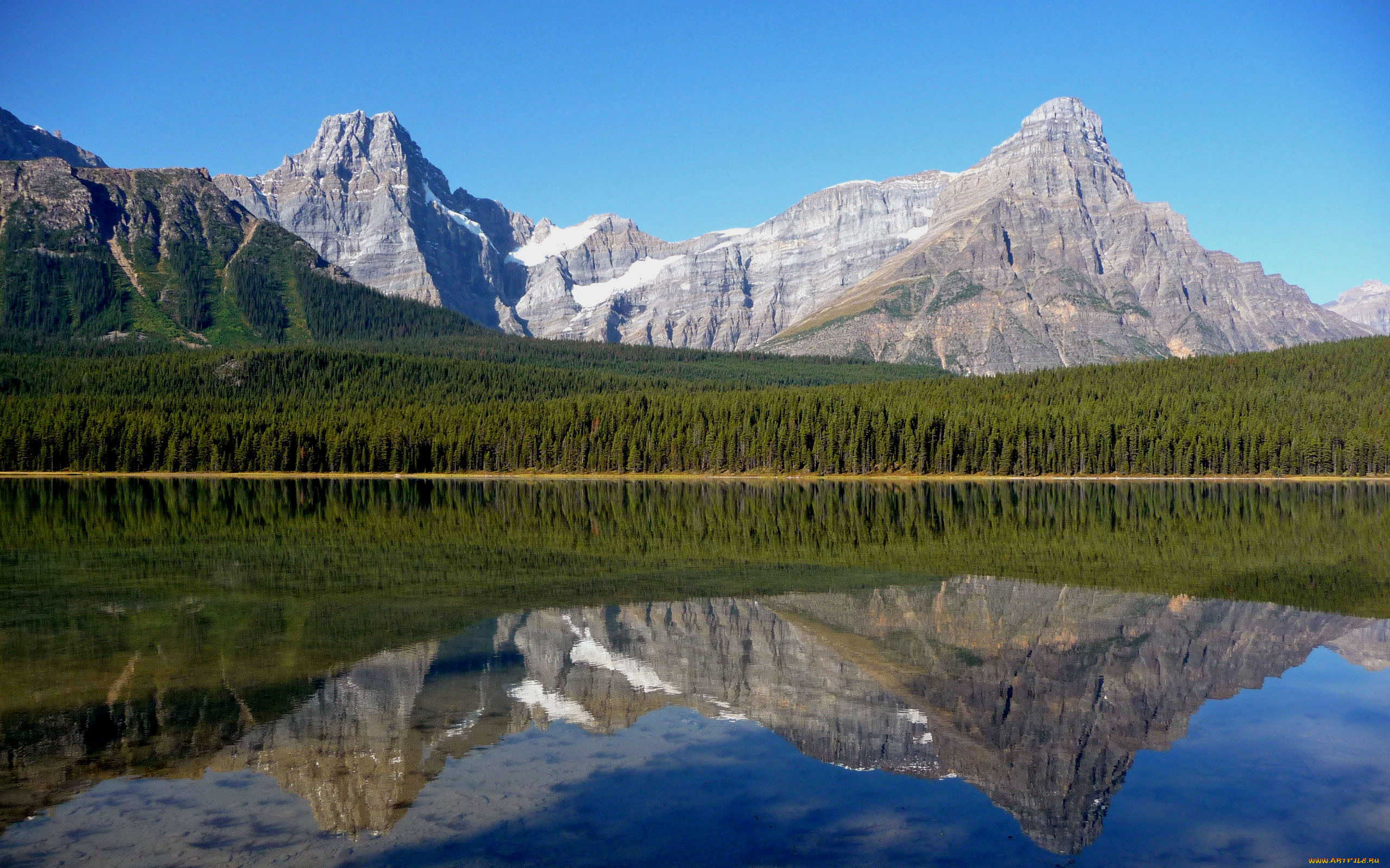 природа, побережье, река, горы, лес