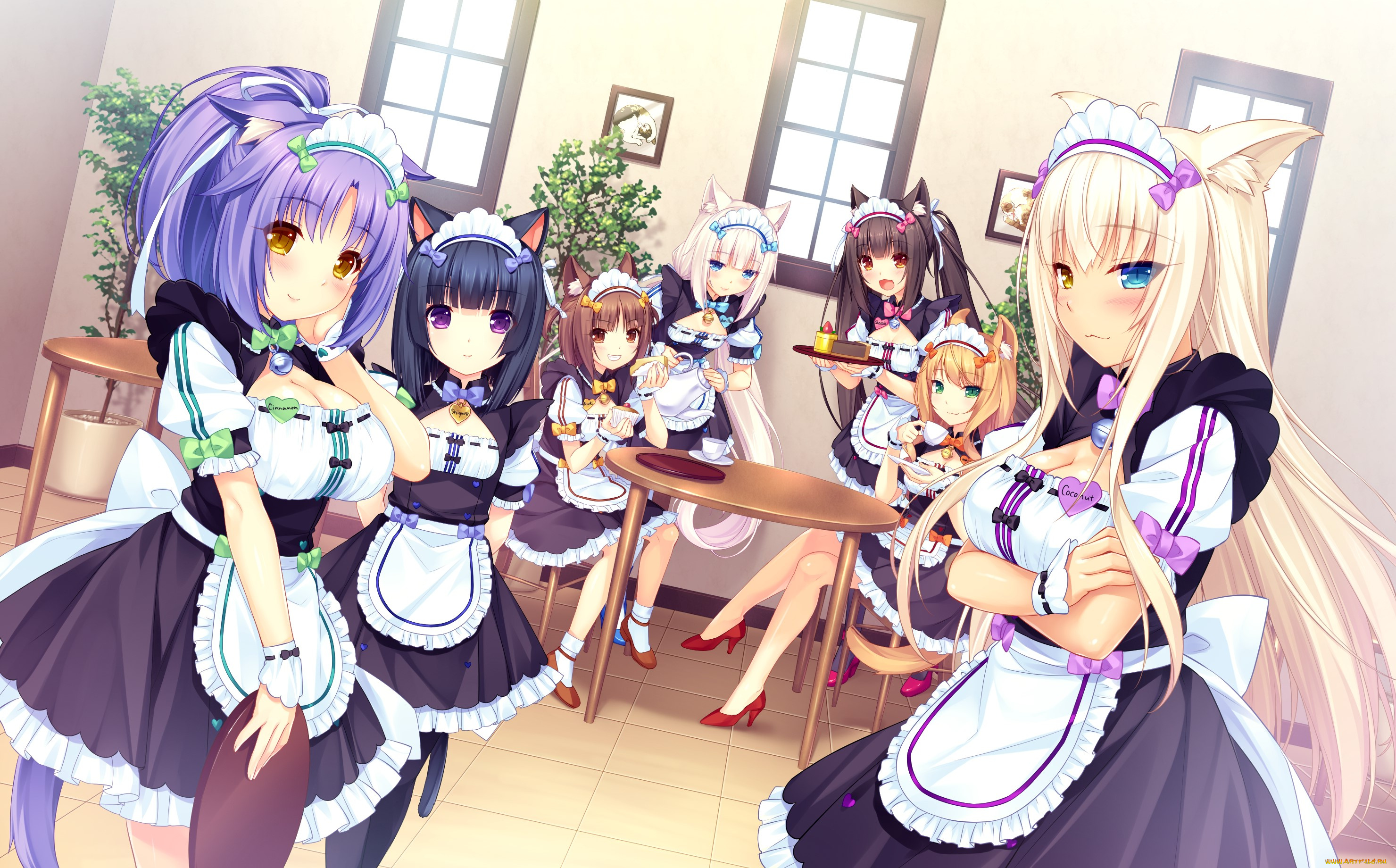 аниме, nekopara, фон, взгляд, девушки