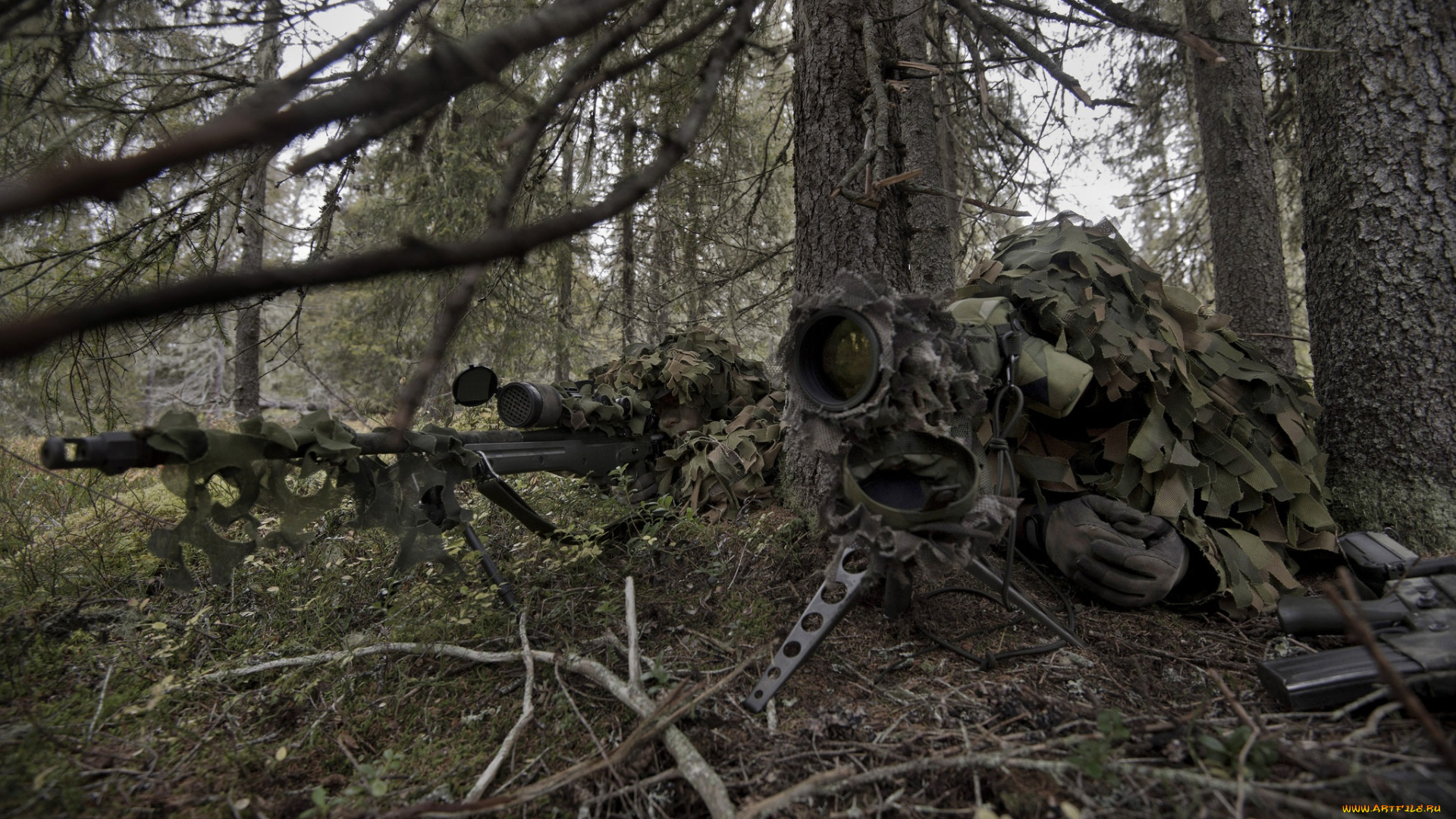 оружие, армия, спецназ, винтовка, лес, камуфляж, напарник, снайпер