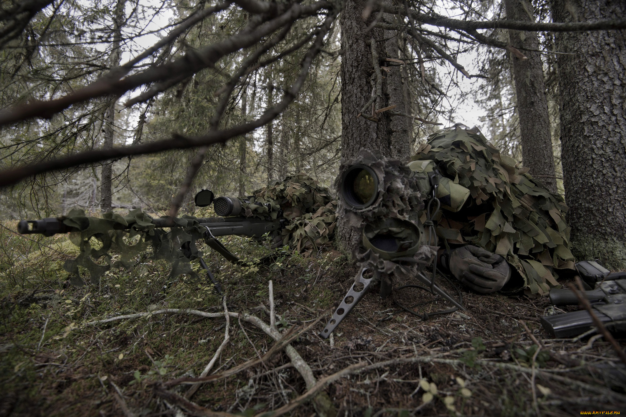 оружие, армия, спецназ, винтовка, лес, камуфляж, напарник, снайпер