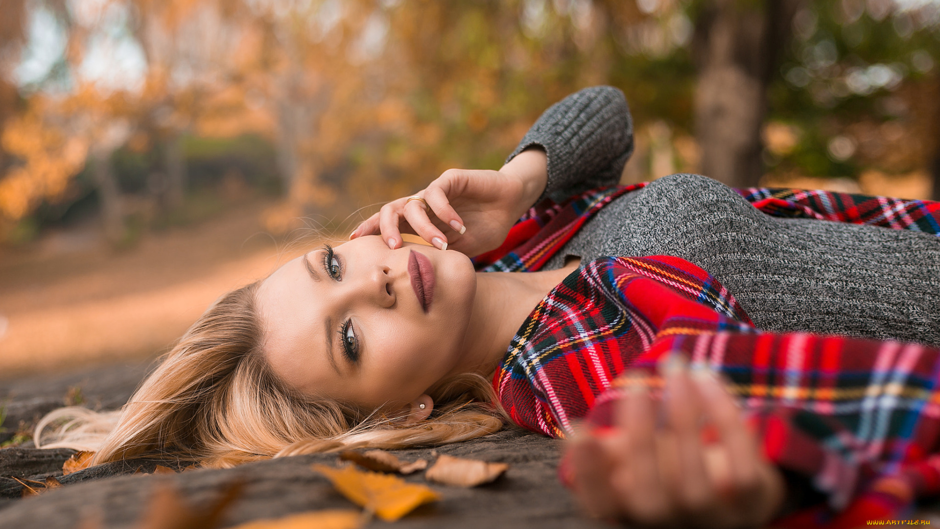 девушка, девушки, -unsort, , блондинки, , светловолосые, модель