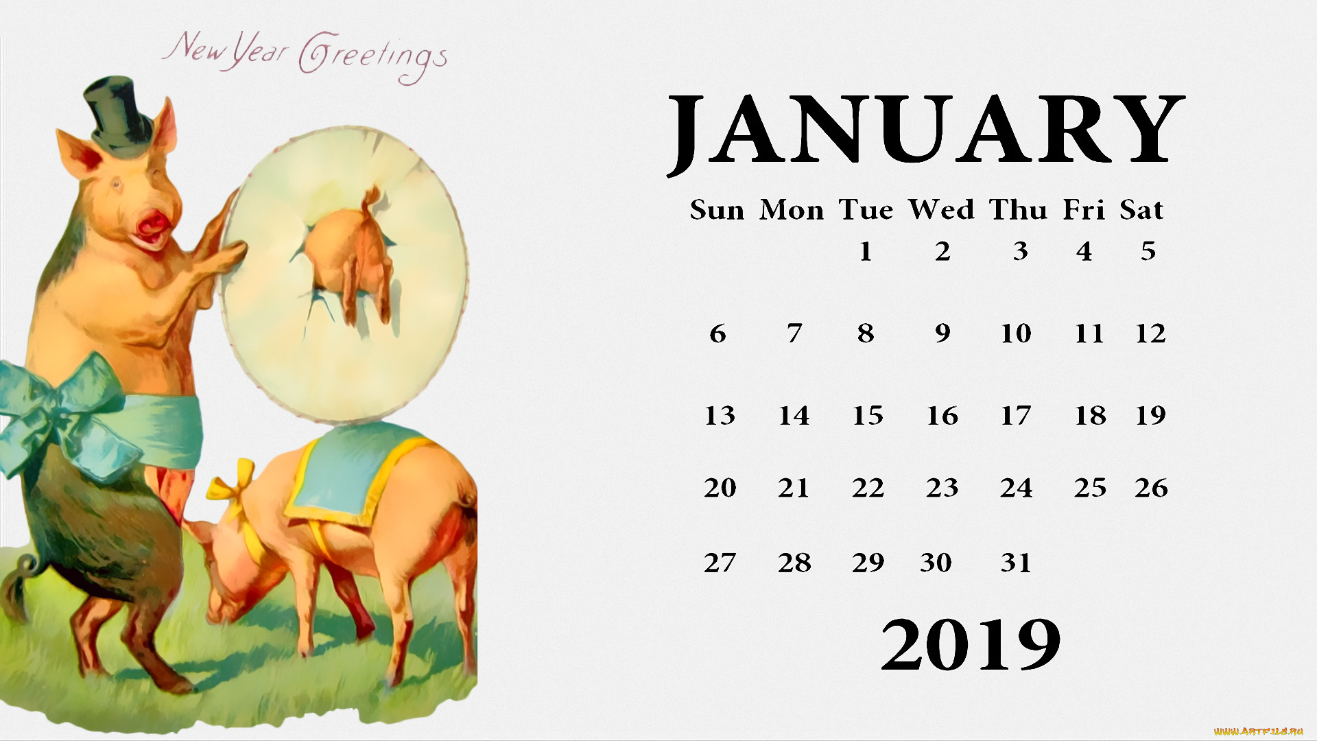 календари, праздники, , салюты, свинья, бант, шляпа, поросенок