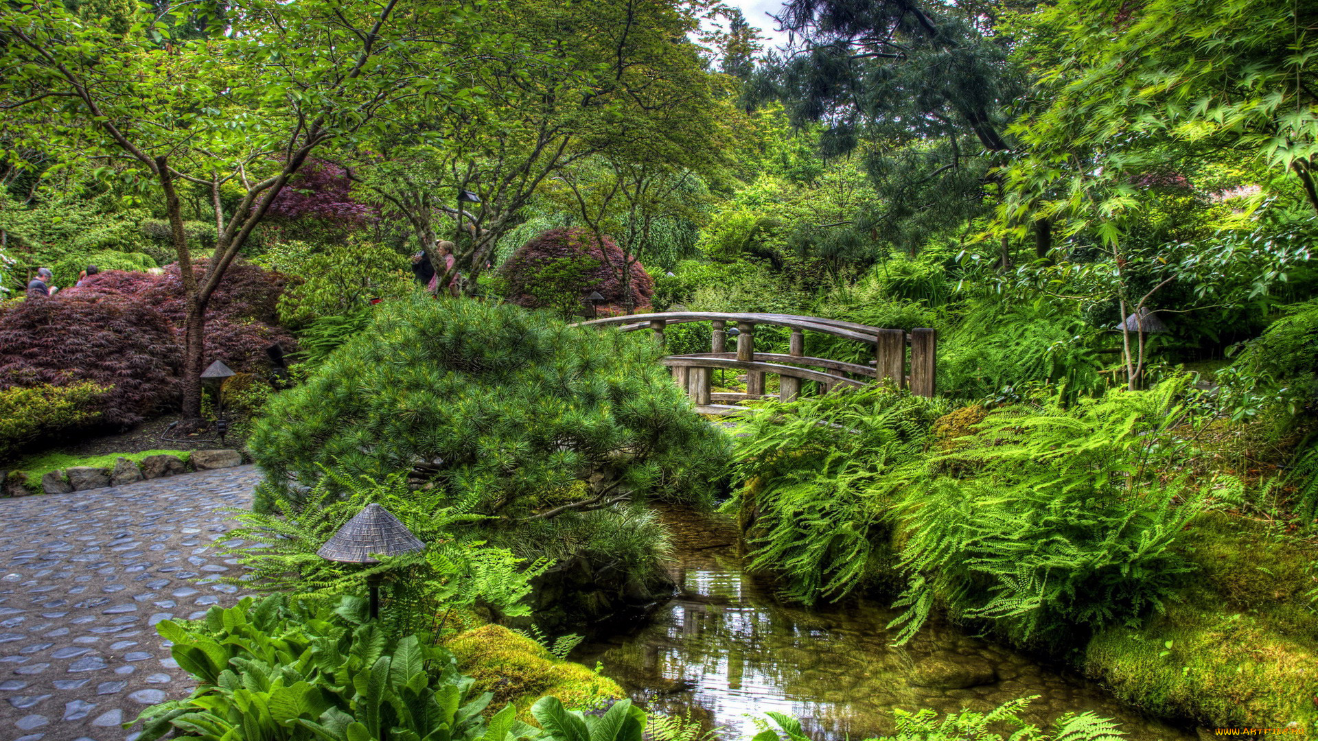 природа, парк, водоем, мостик