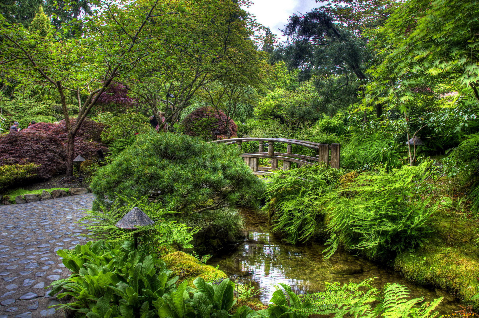 природа, парк, водоем, мостик