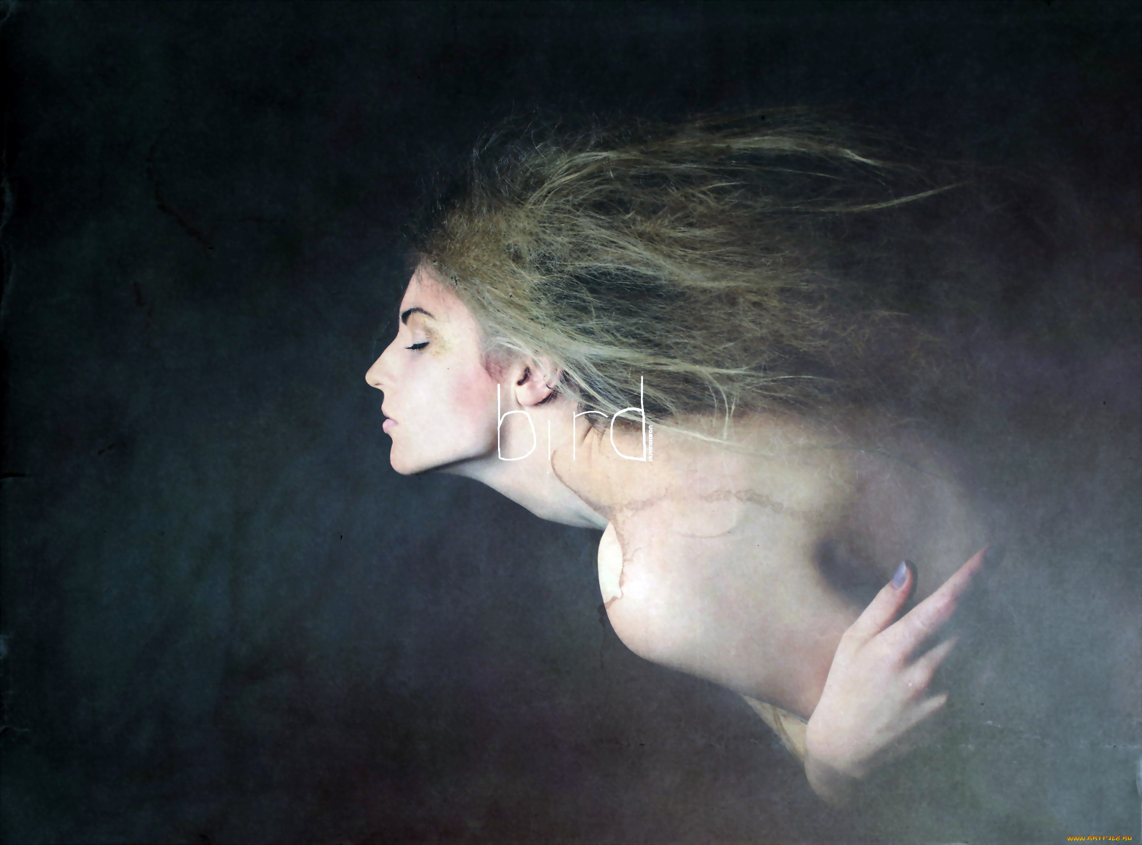 фэнтези, фотоарт, профиль, девушка