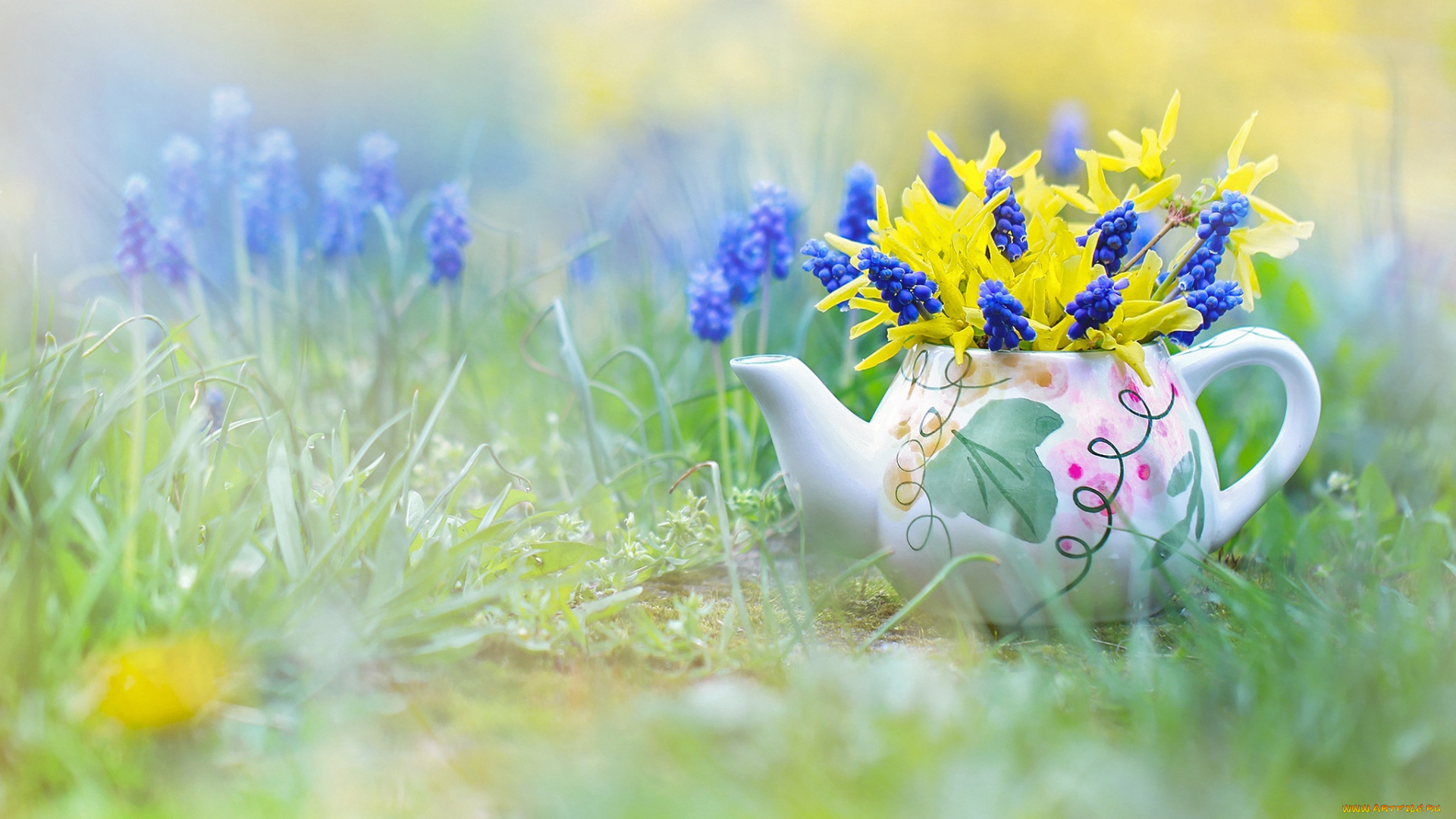 цветы, букеты, , композиции, мускари, форзиция