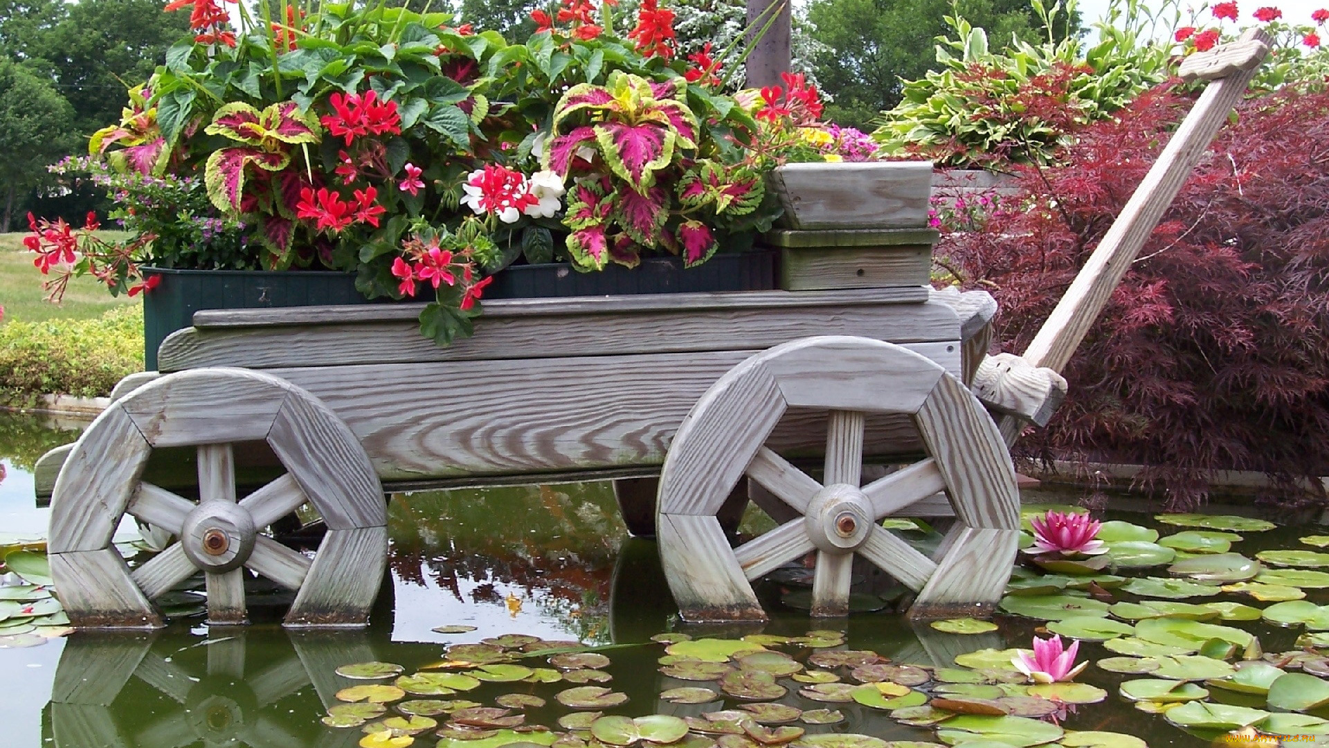 цветы, разные, вместе, лилии, клумба