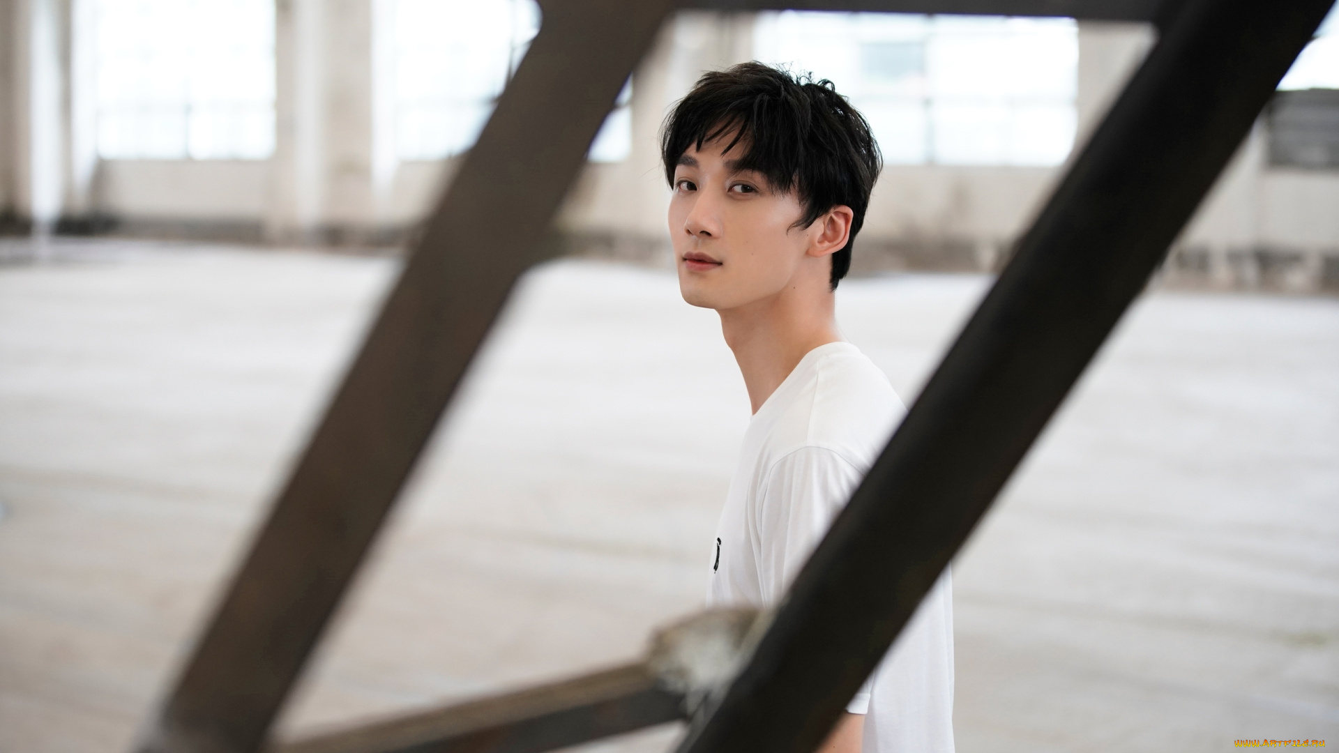 мужчины, li, bo, wen, li, bo, wen