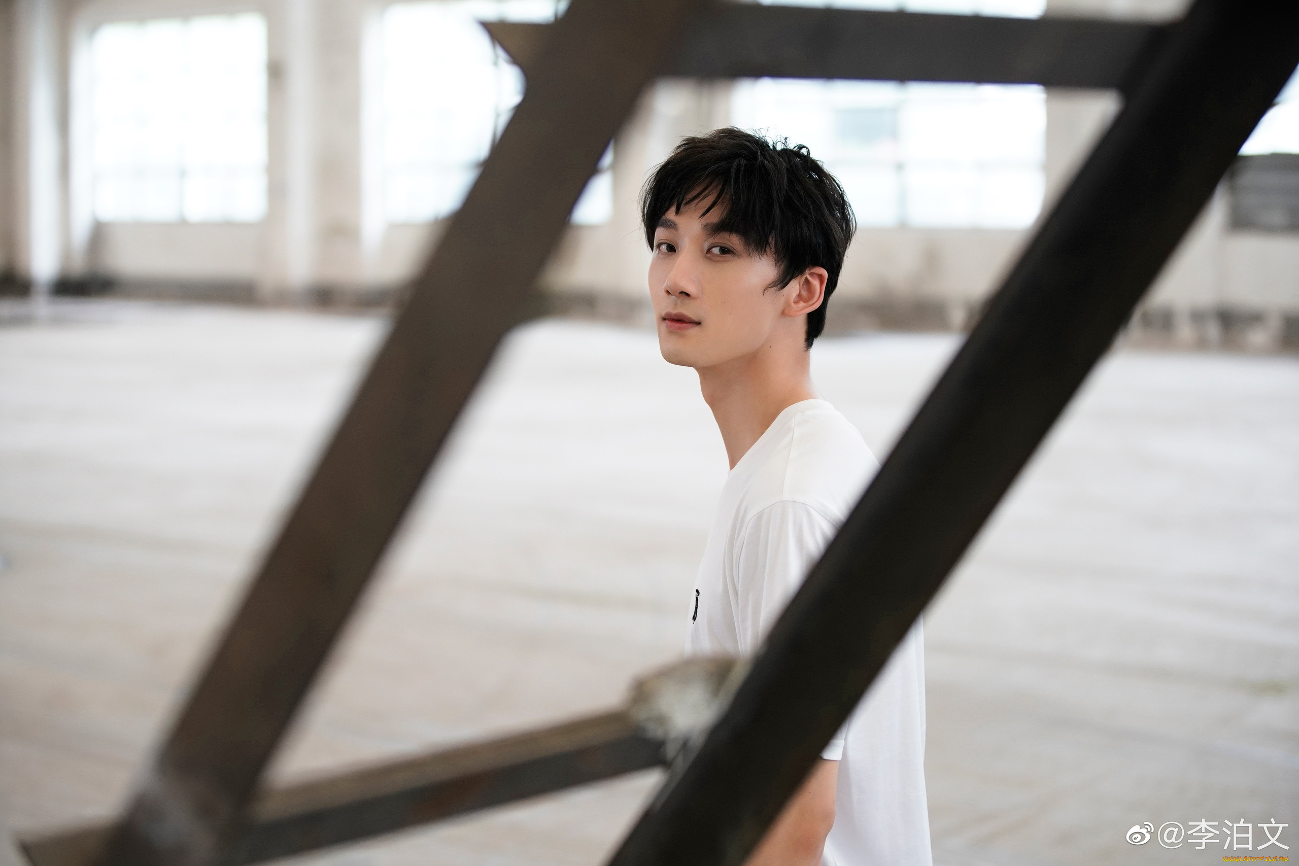 мужчины, li, bo, wen, li, bo, wen