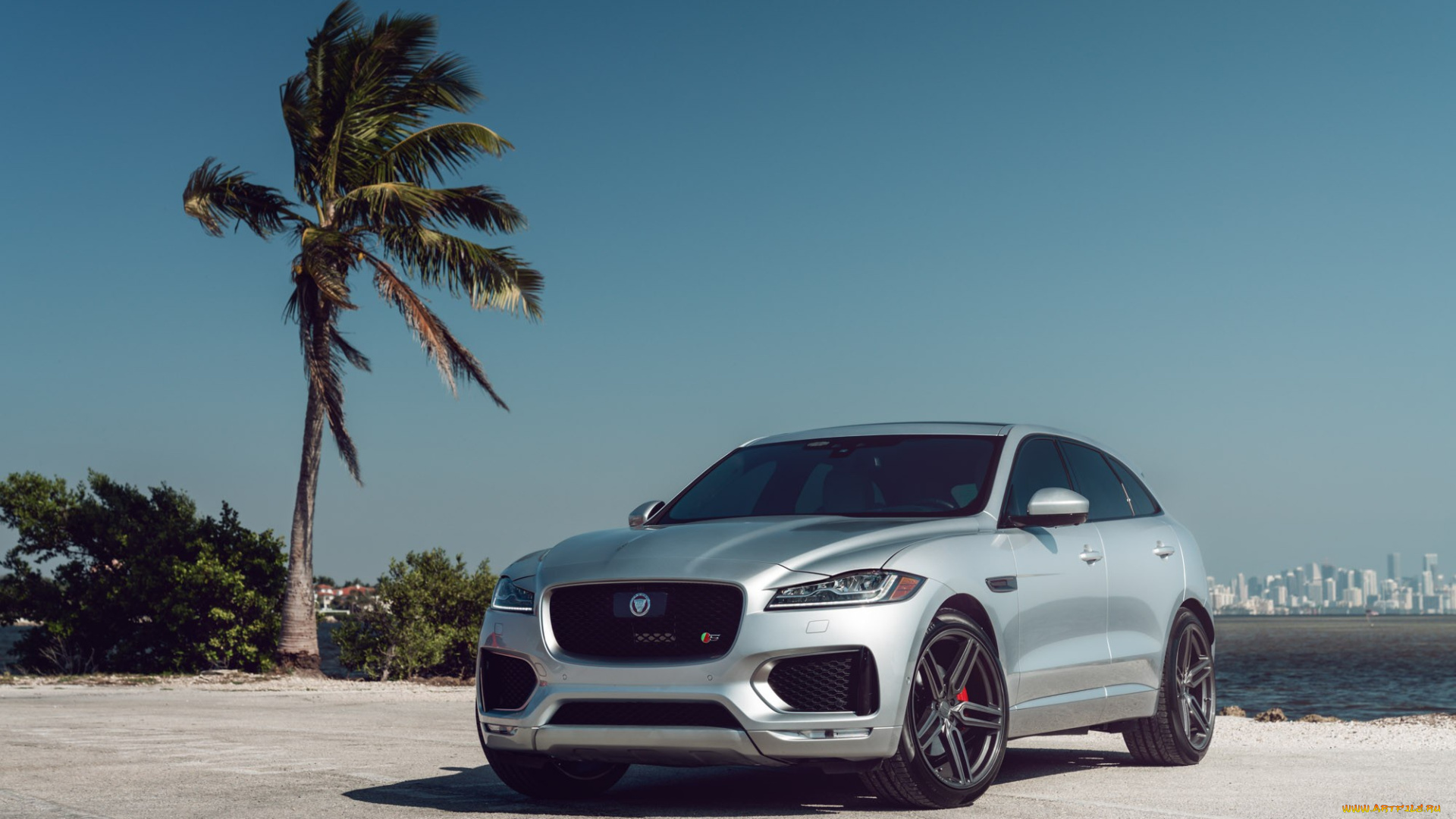 автомобили, jaguar, grey, f-pace, s