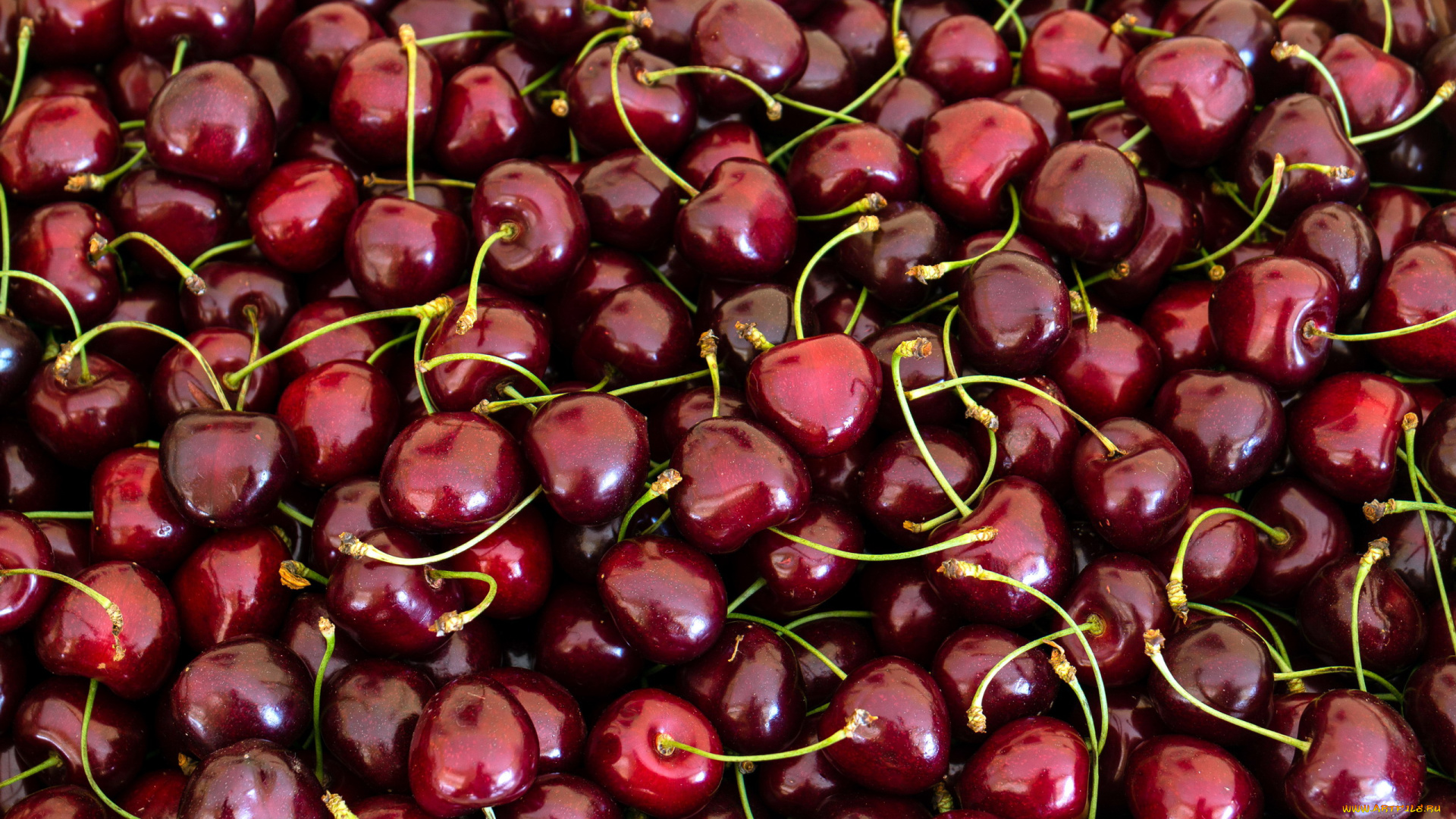 еда, вишня, , черешня, ягоды, черешня, много