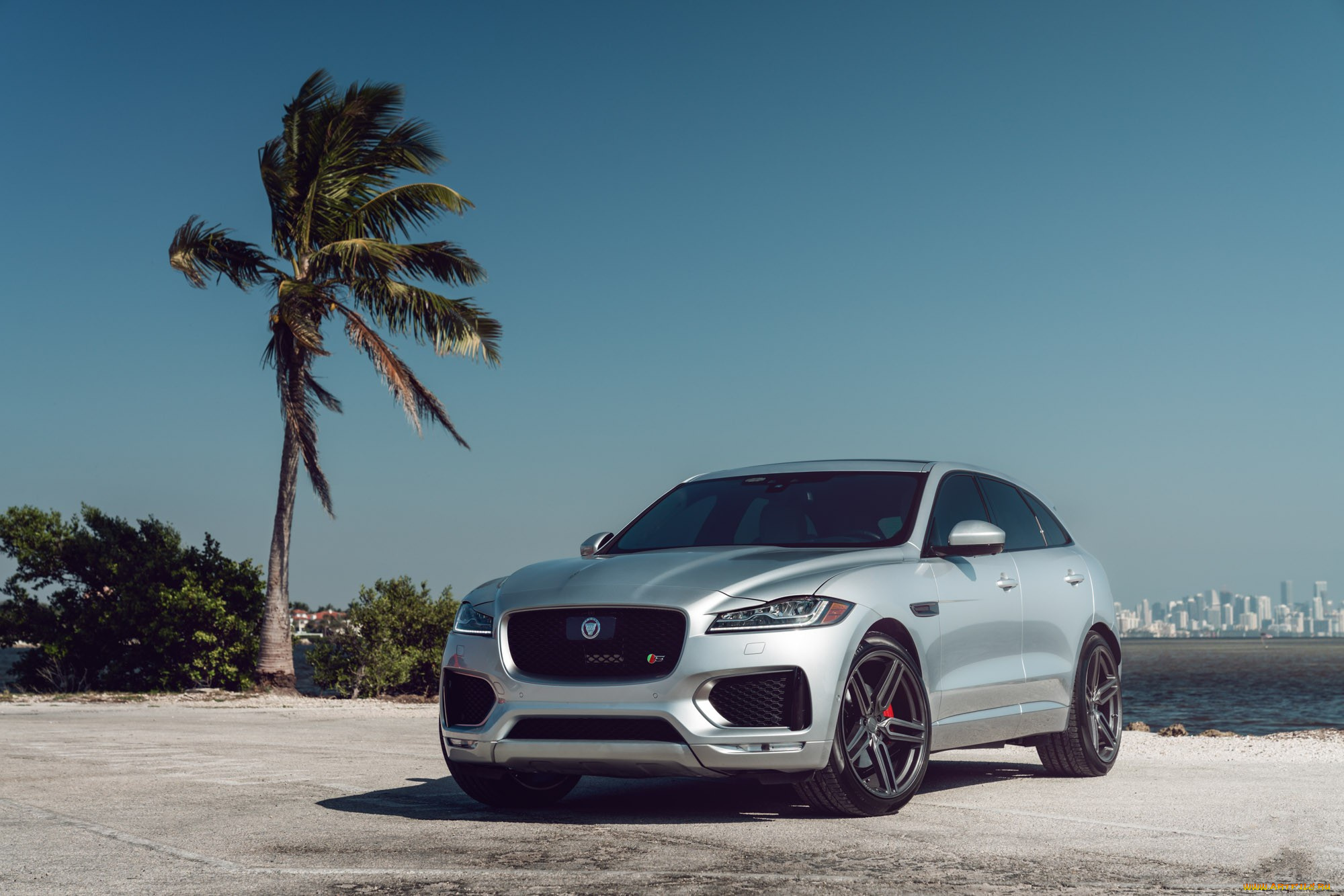 автомобили, jaguar, grey, f-pace, s