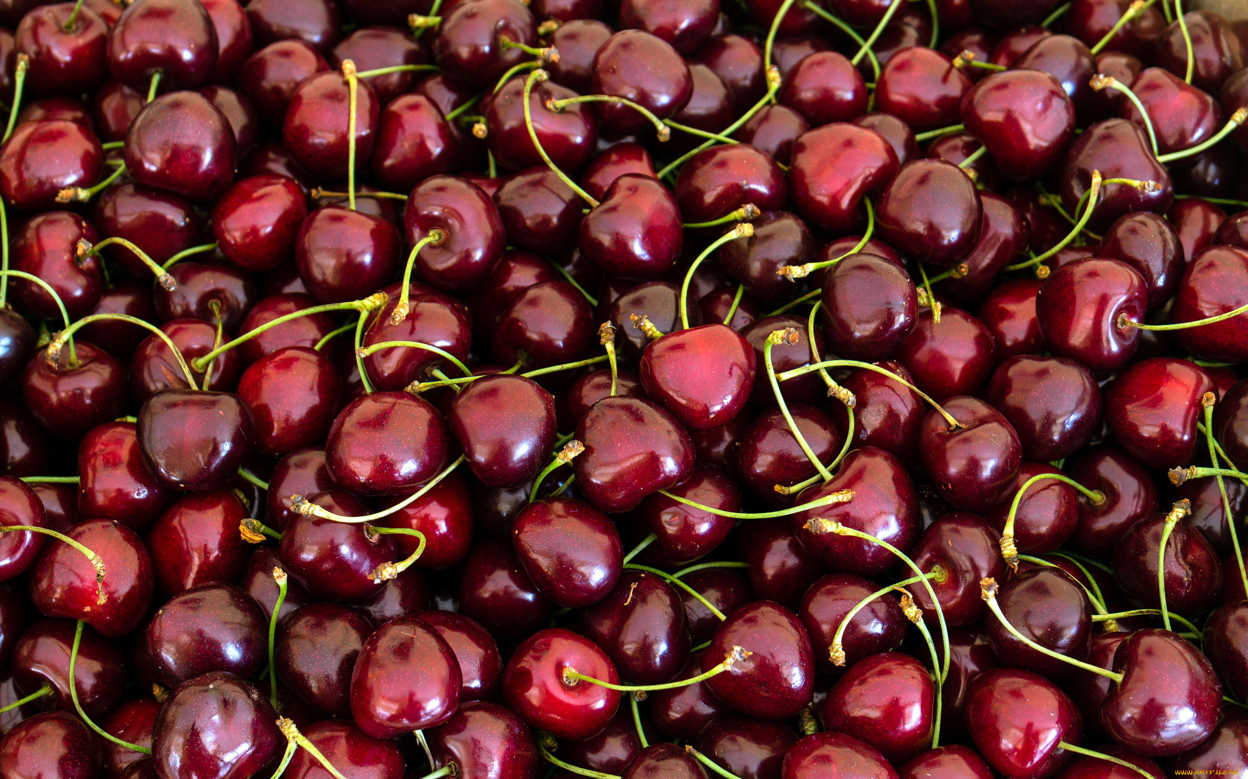 еда, вишня, , черешня, ягоды, черешня, много