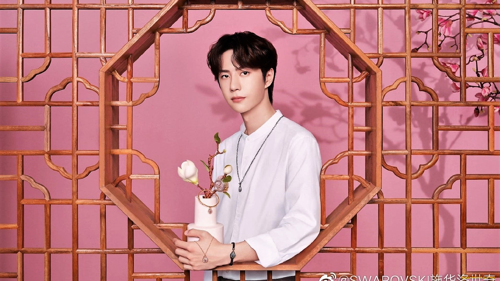 мужчины, wang, yi, bo, цветок, украшения, решетка