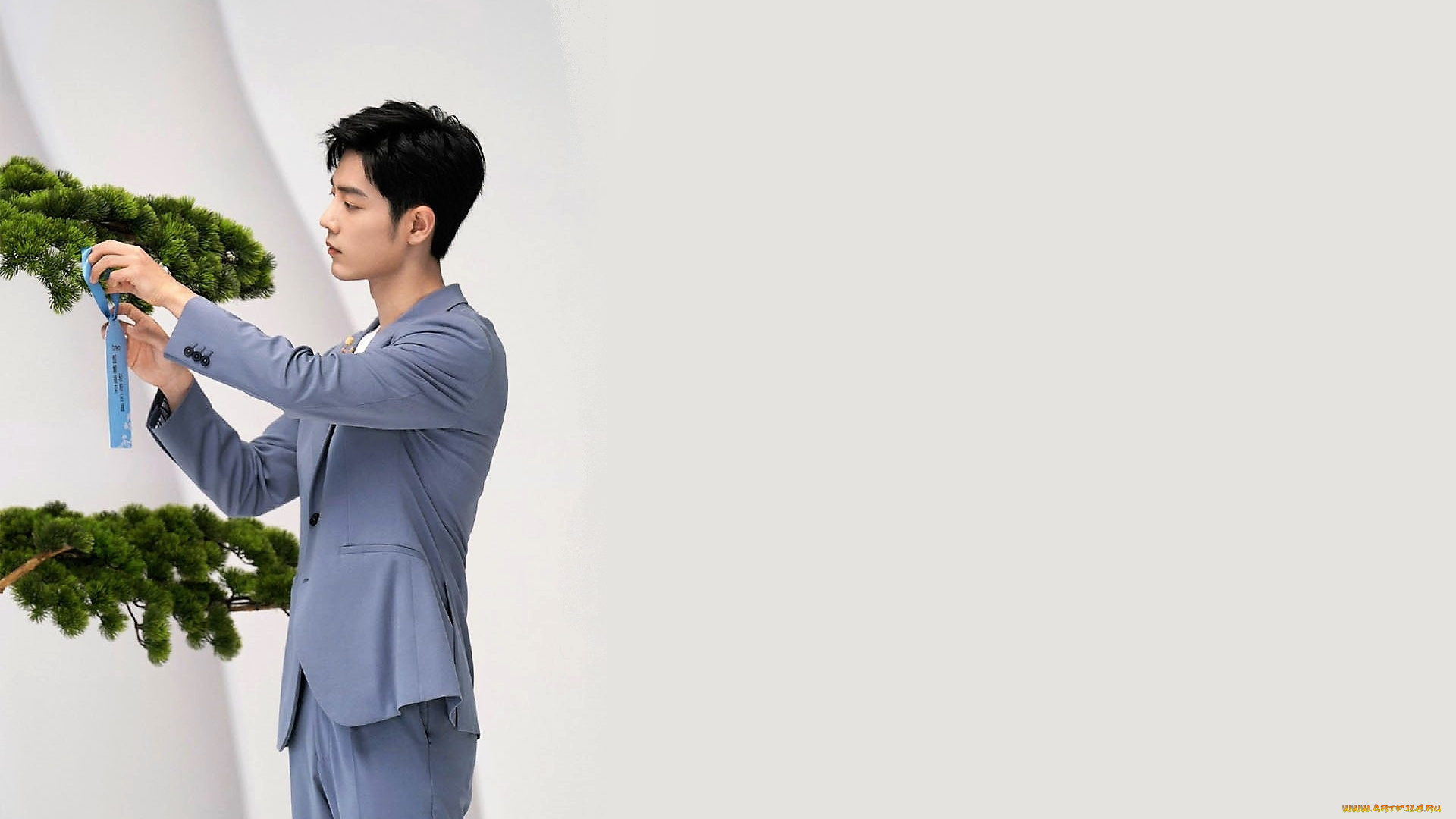 мужчины, xiao, zhan, актер, костюм, дерево, ветки, ленточка