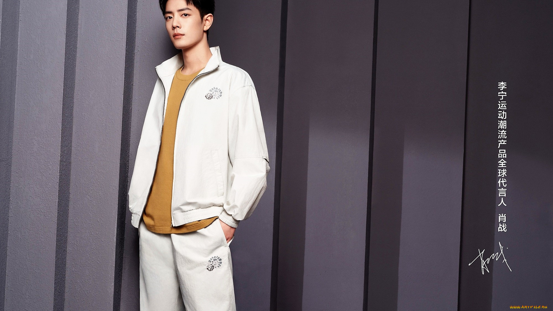 мужчины, xiao, zhan, актер, спортивный, костюм